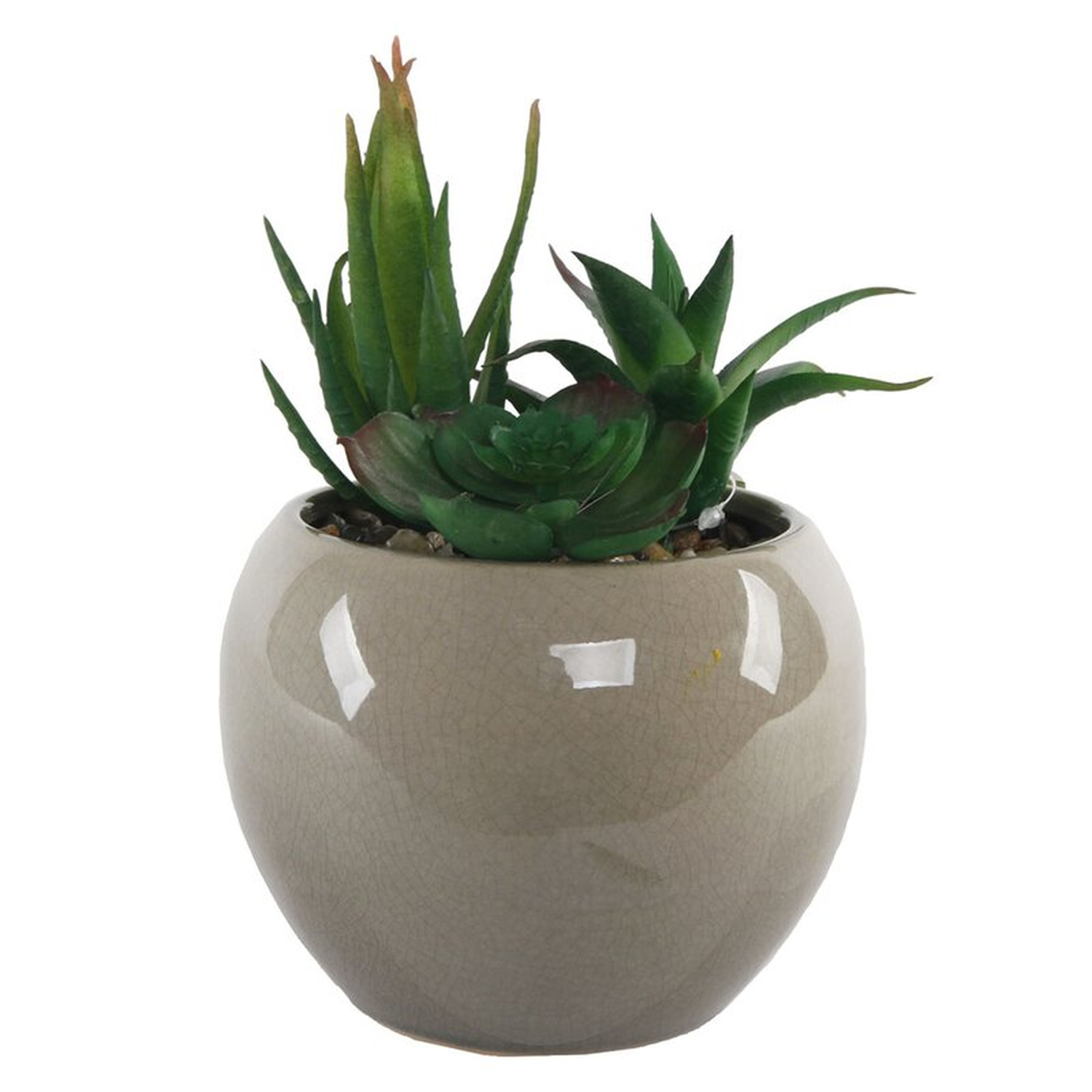 Desktop Faux Succulent Plant in Pot - AllModern