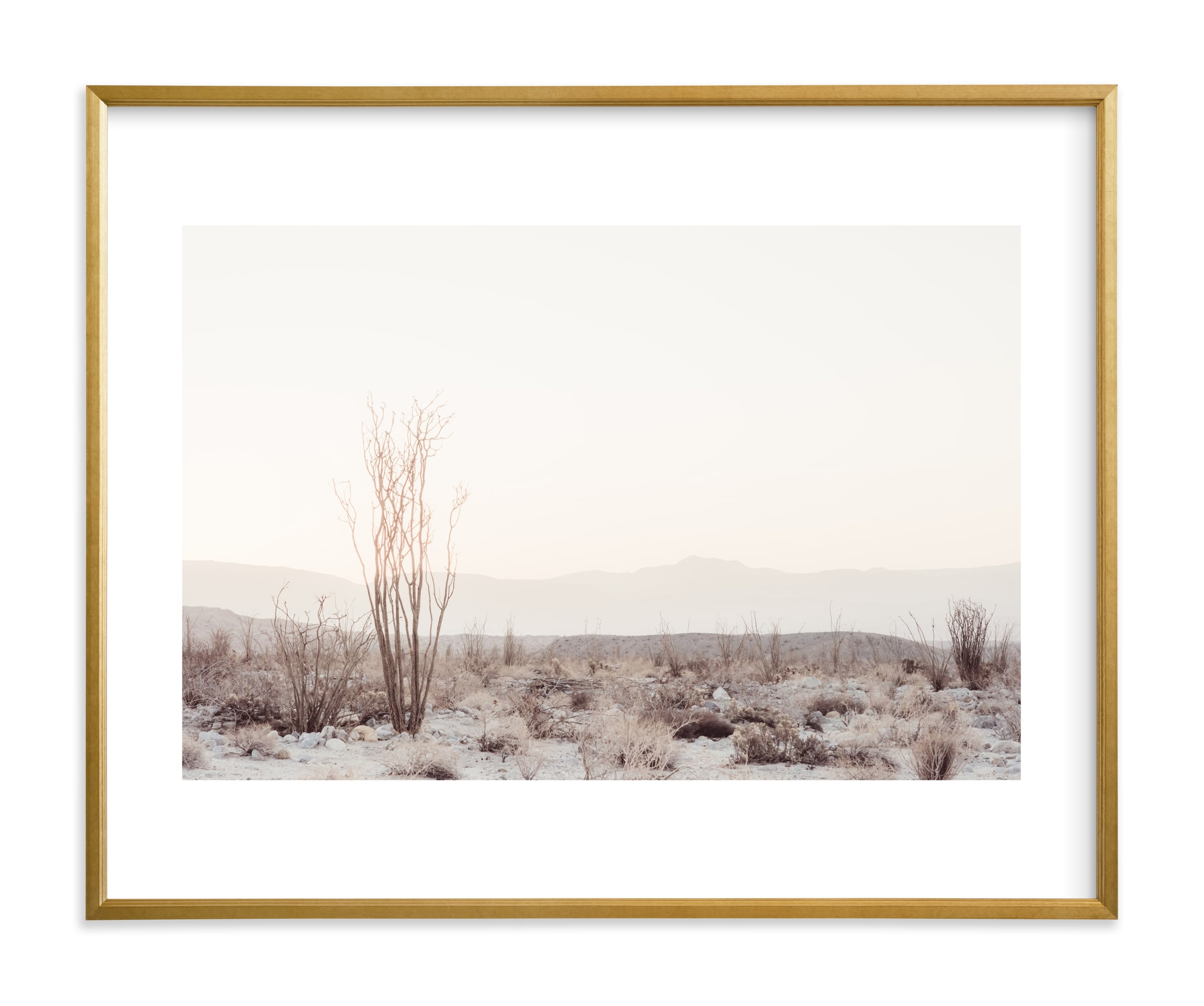 ocotillo ii 40 x 30 matted with Gilded Wood Frame_WHITE BORDER - Minted