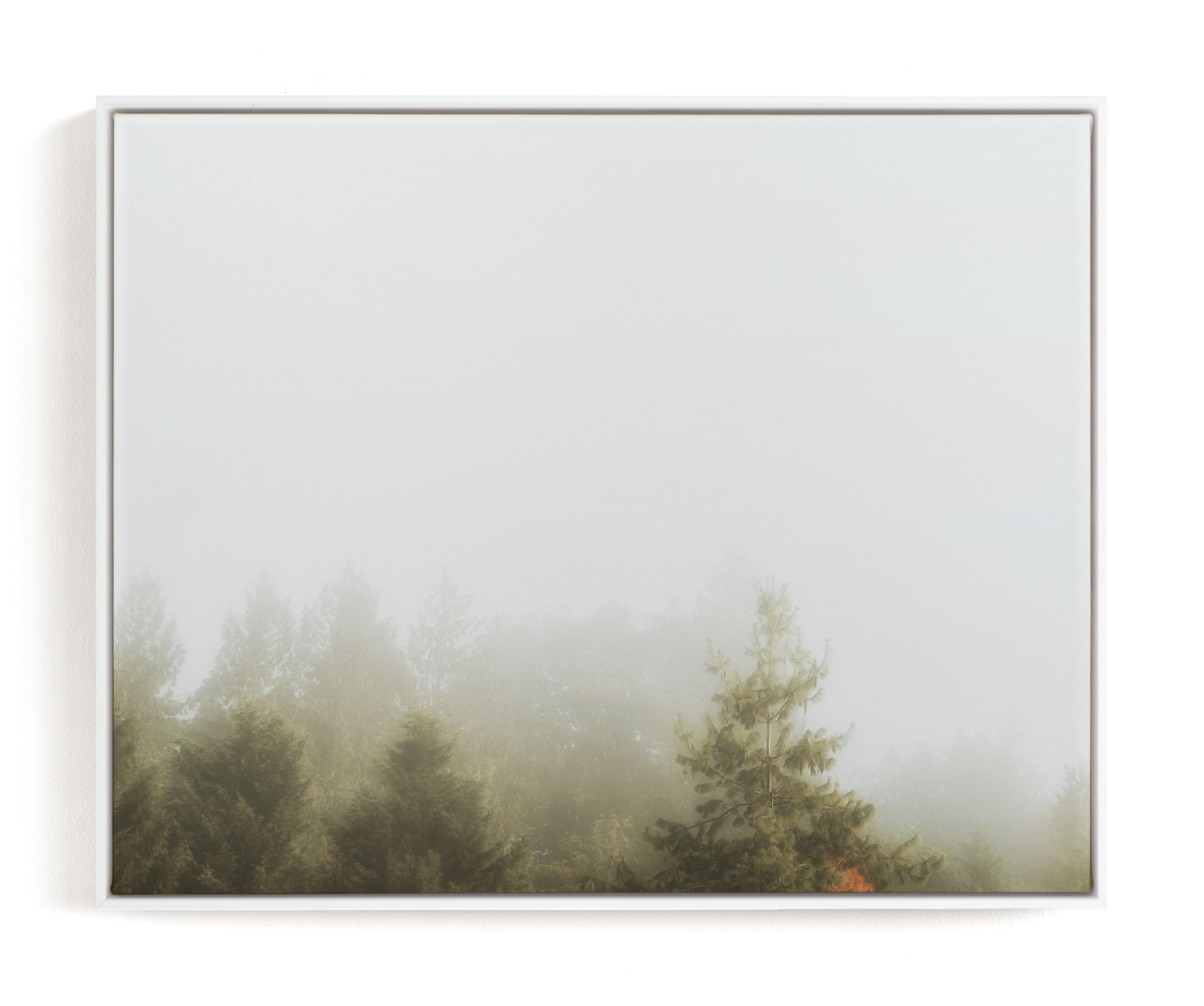 Foggy Autumn Forest Morning Limited Edition Art Print - Minted