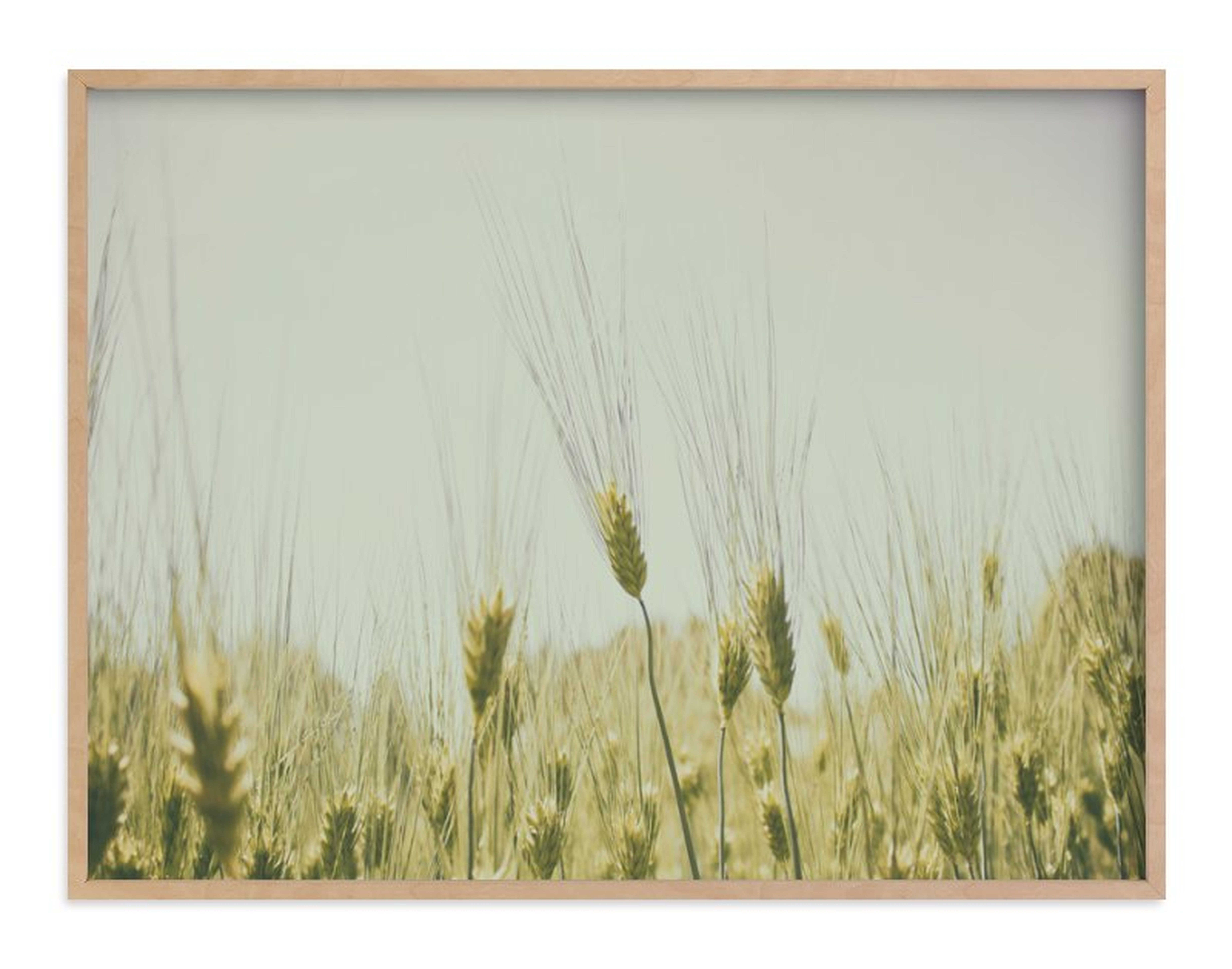 Golden Grass - 40x30 - Natural Raw Wood Frame - Minted