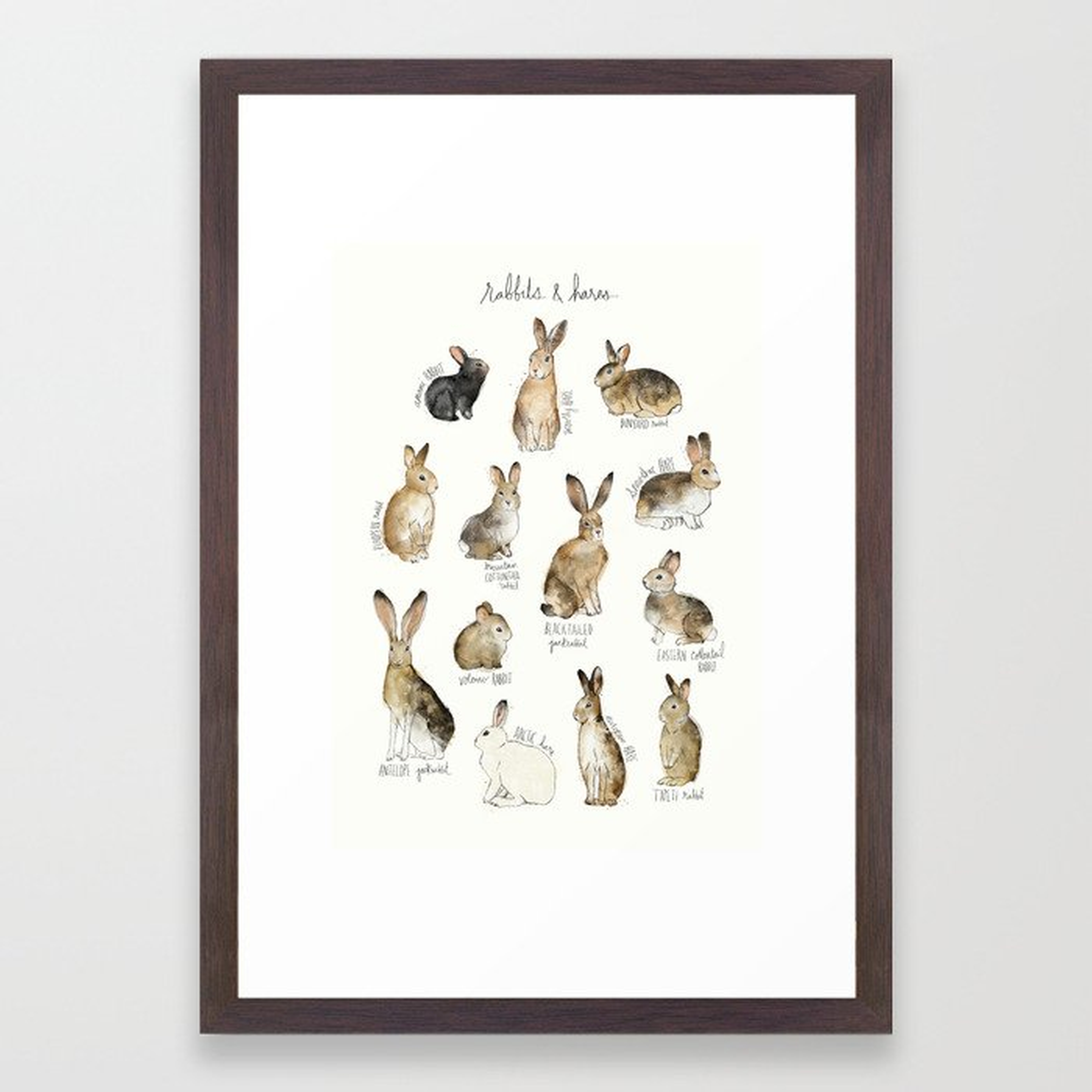 Rabbits & Hares Framed Art Print - Small 15"x21" - Conservation Walnut - Society6
