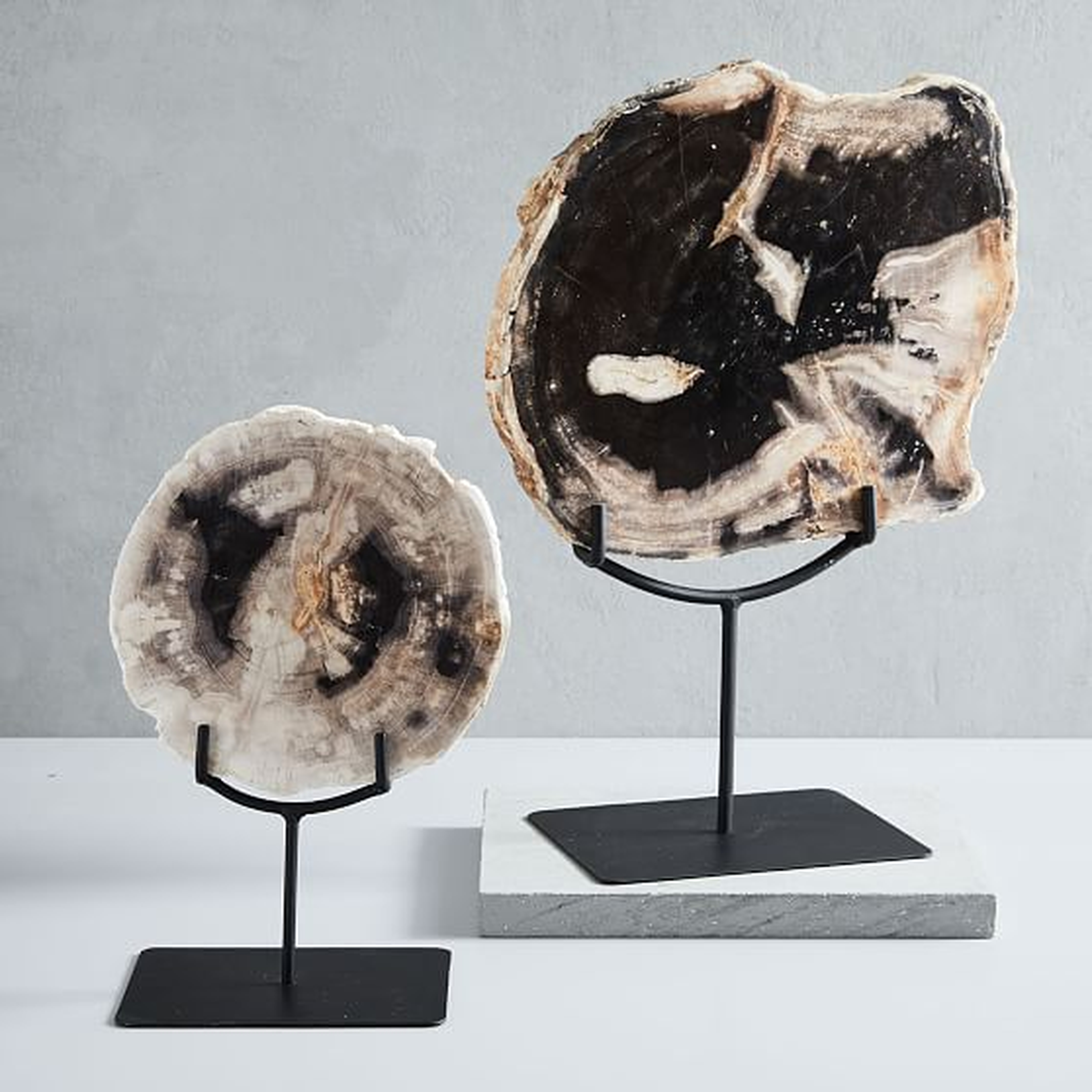 Petrified Wood Object on Stand, Small &amp; Large Set - West Elm