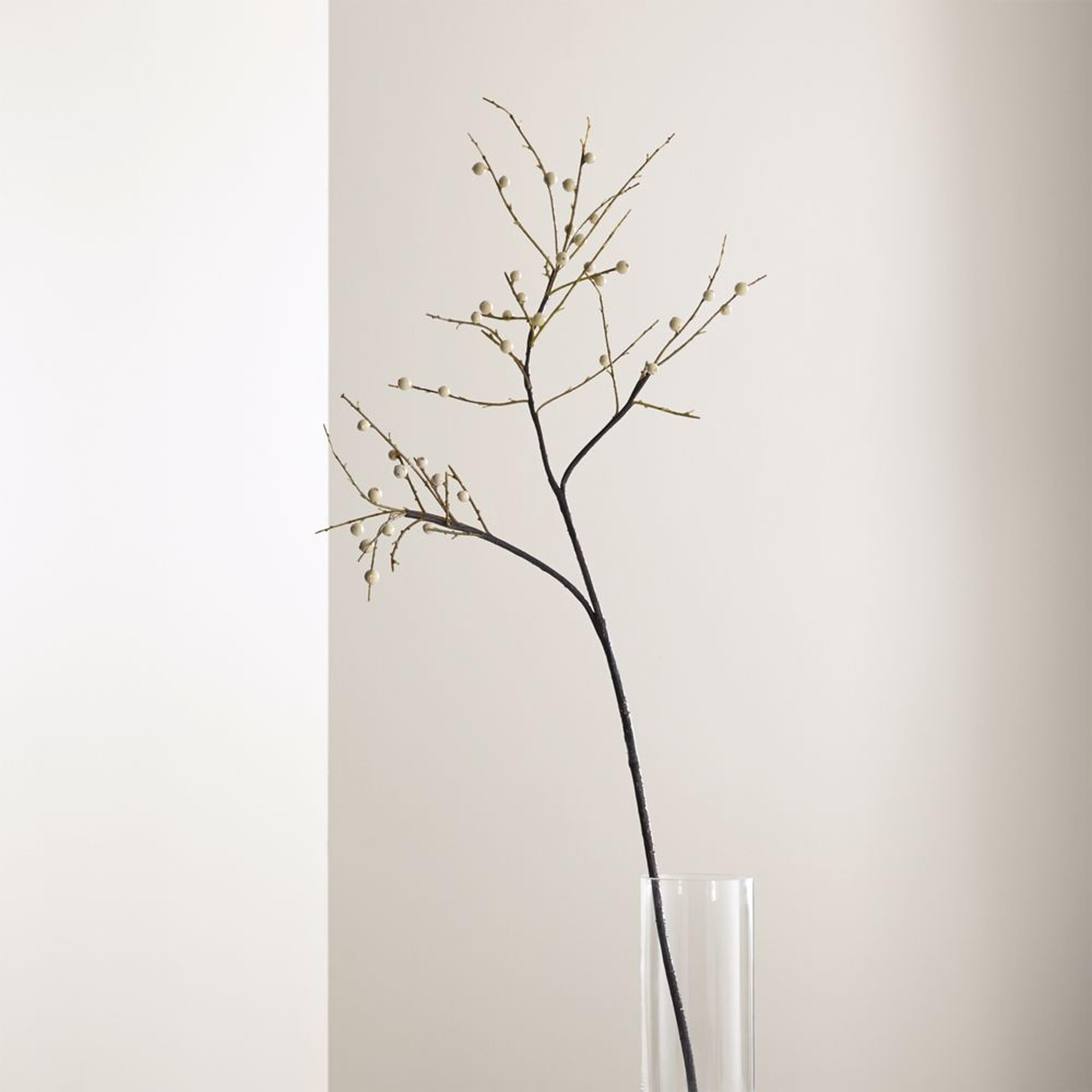 Ilex White Berry Stem Branch - Crate and Barrel