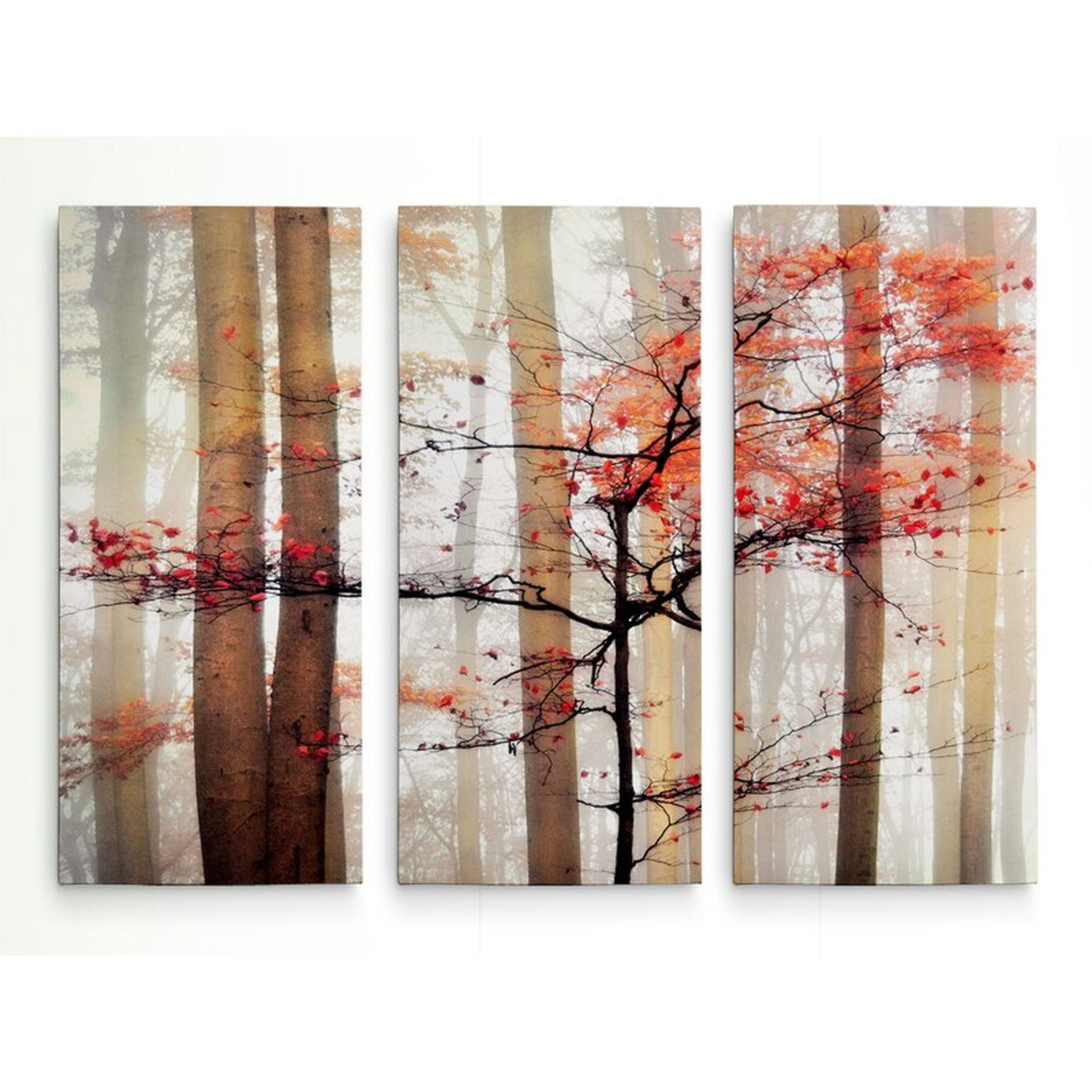 Orange Awakening - 3 Piece Wrapped Canvas Photograph Print Set - Wayfair