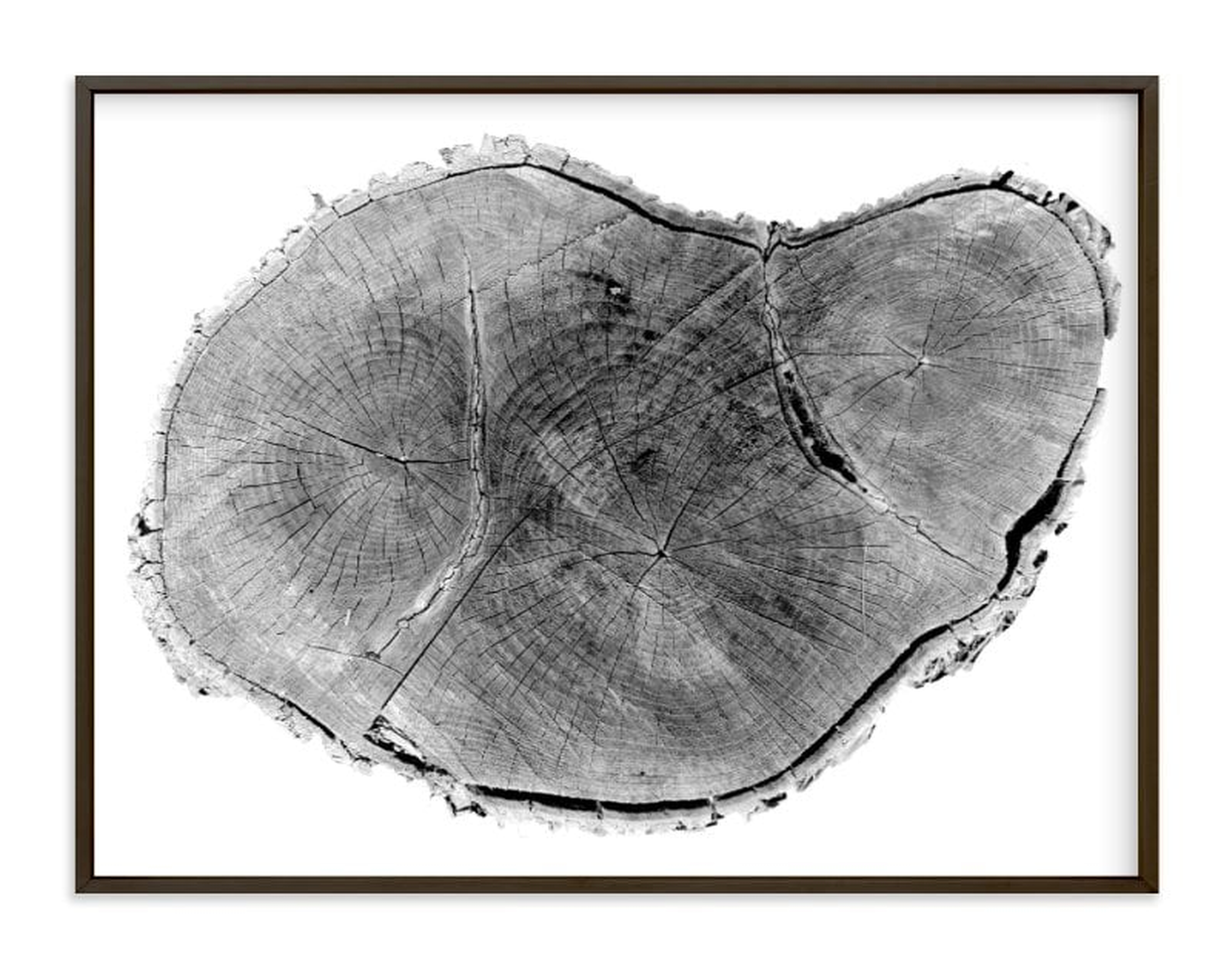Tree rings pt. 1 - 40" x 30" - Matte Black Metal Frame - Minted