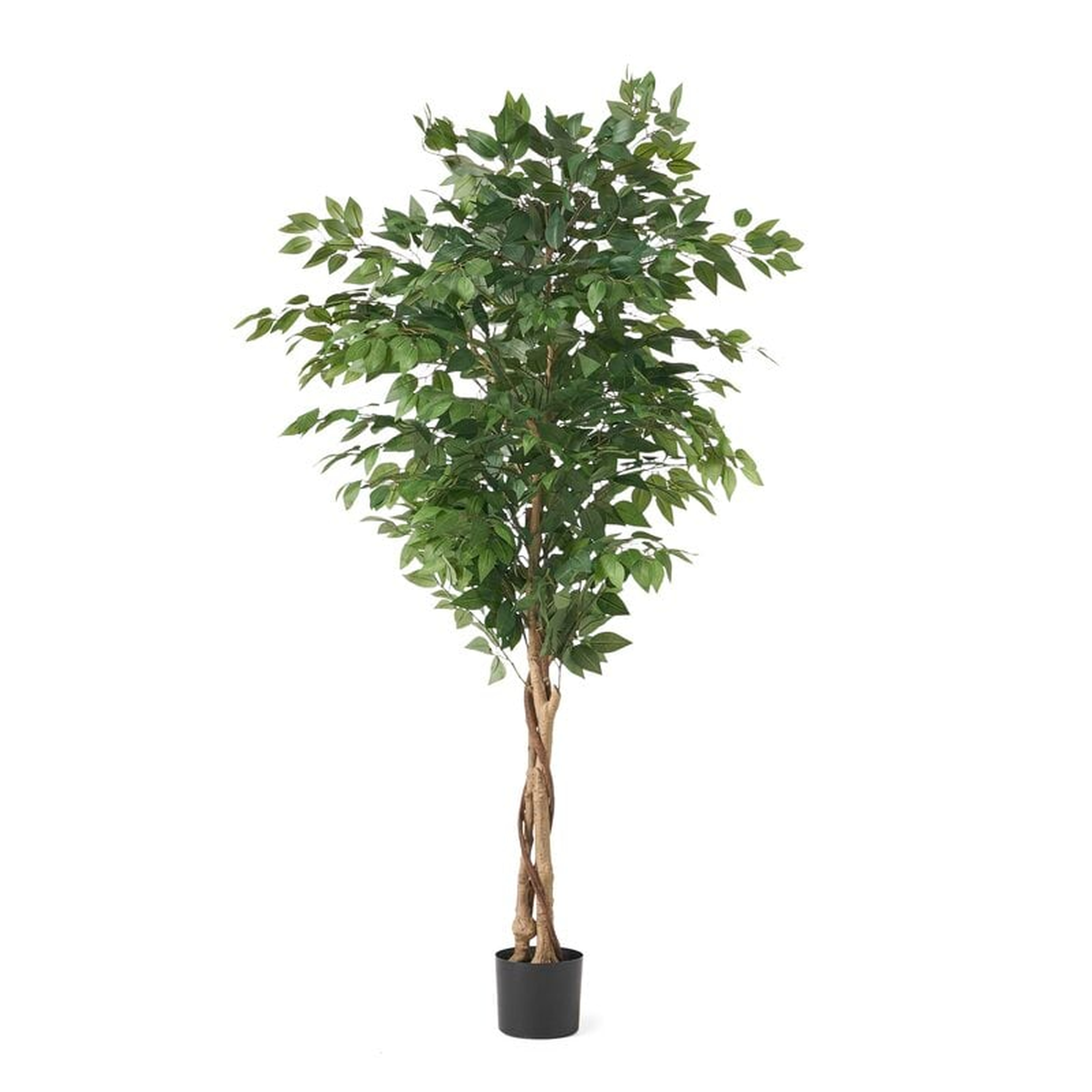 Artificial Ficus Tree - Wayfair
