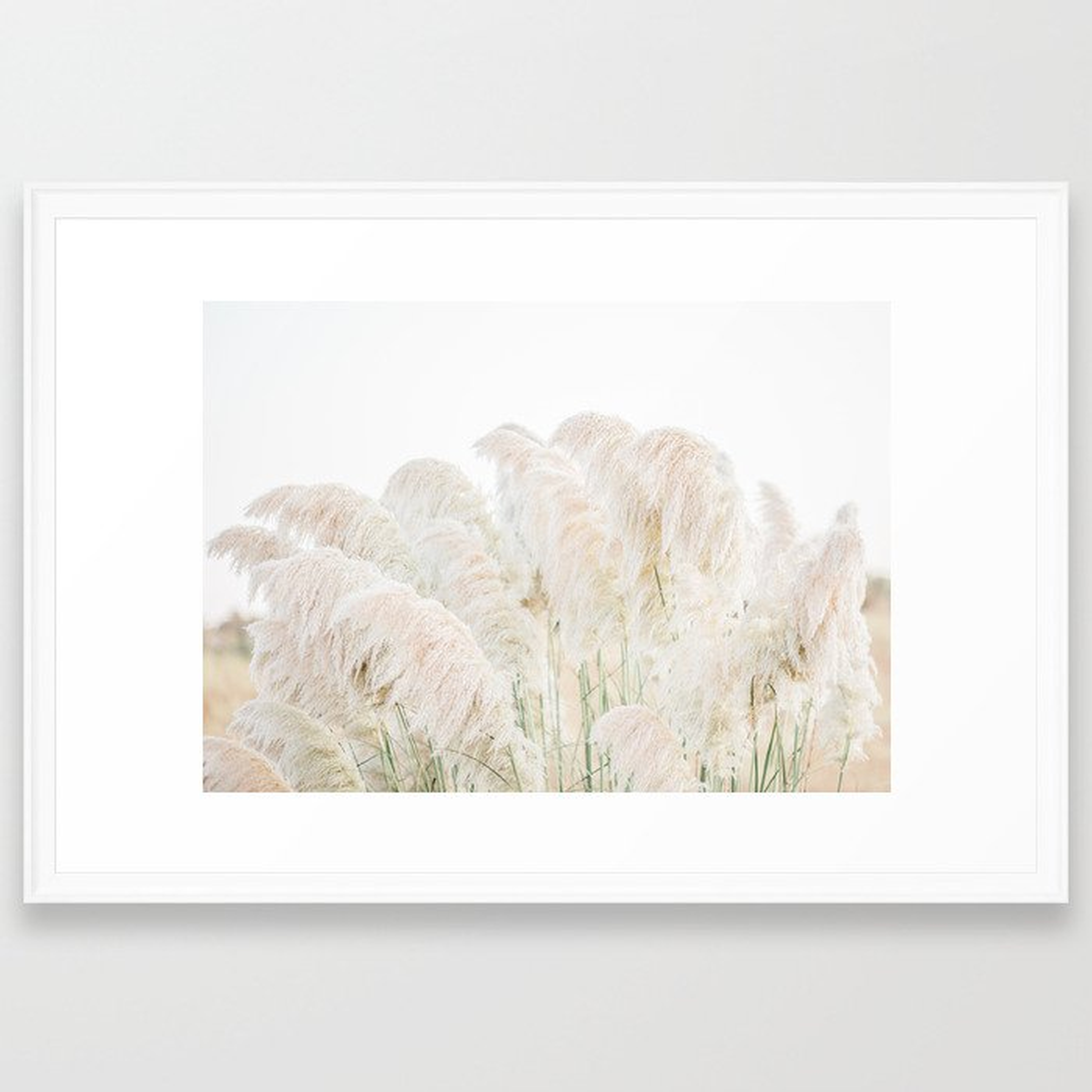 Natural Pampas Grass Framed Art Print, White Frame, 36" x 24" - Society6