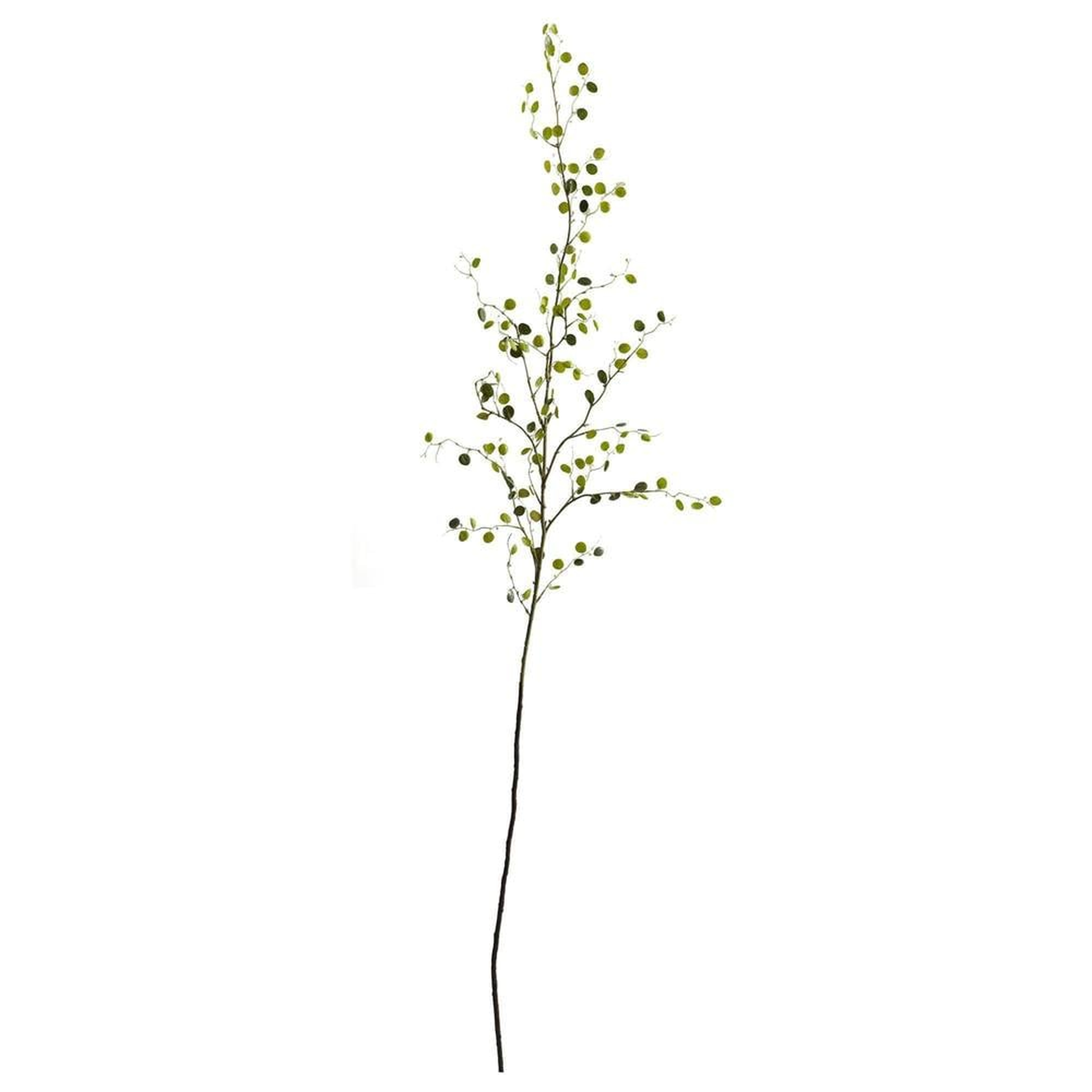 48” Night Willow Artificial Flower (Set of 6) - Fiddle + Bloom