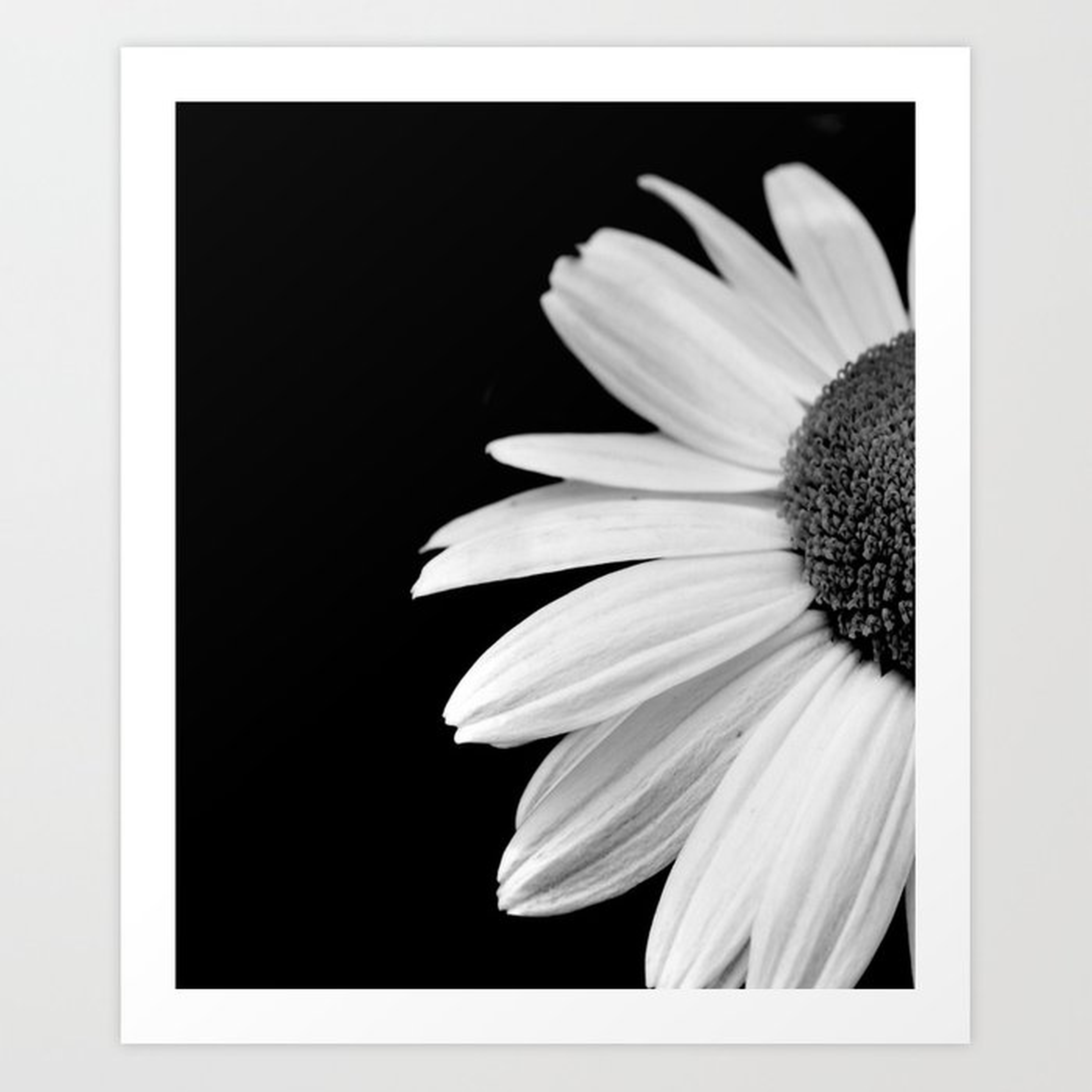 Half Daisy in Black and White Art Print - Society6