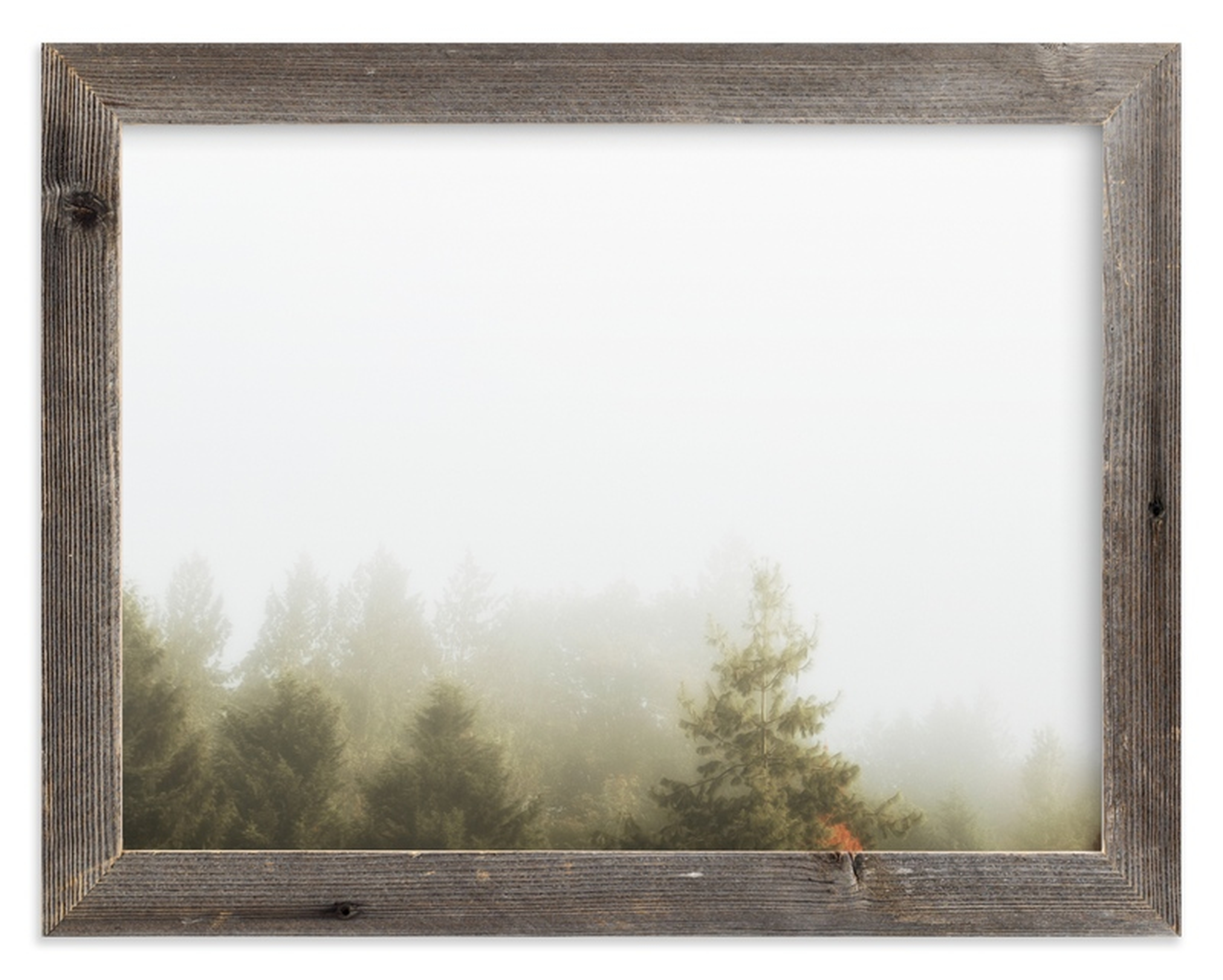 Foggy Autumn Forest Morning Limited Edition Fine Art Print 1 - Minted