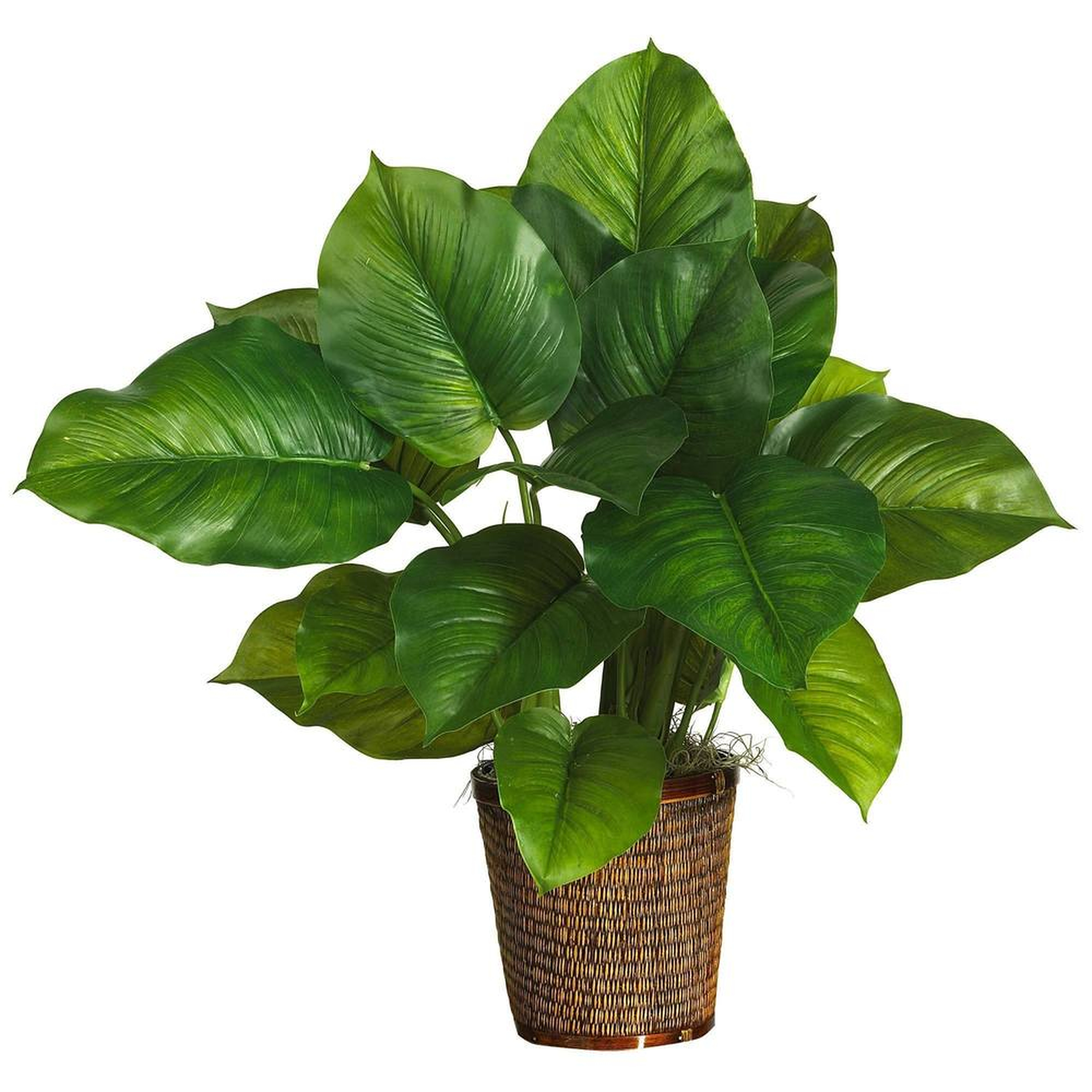 29" Large Leaf Philodendron Silk Plant (Real Touch) - Fiddle + Bloom