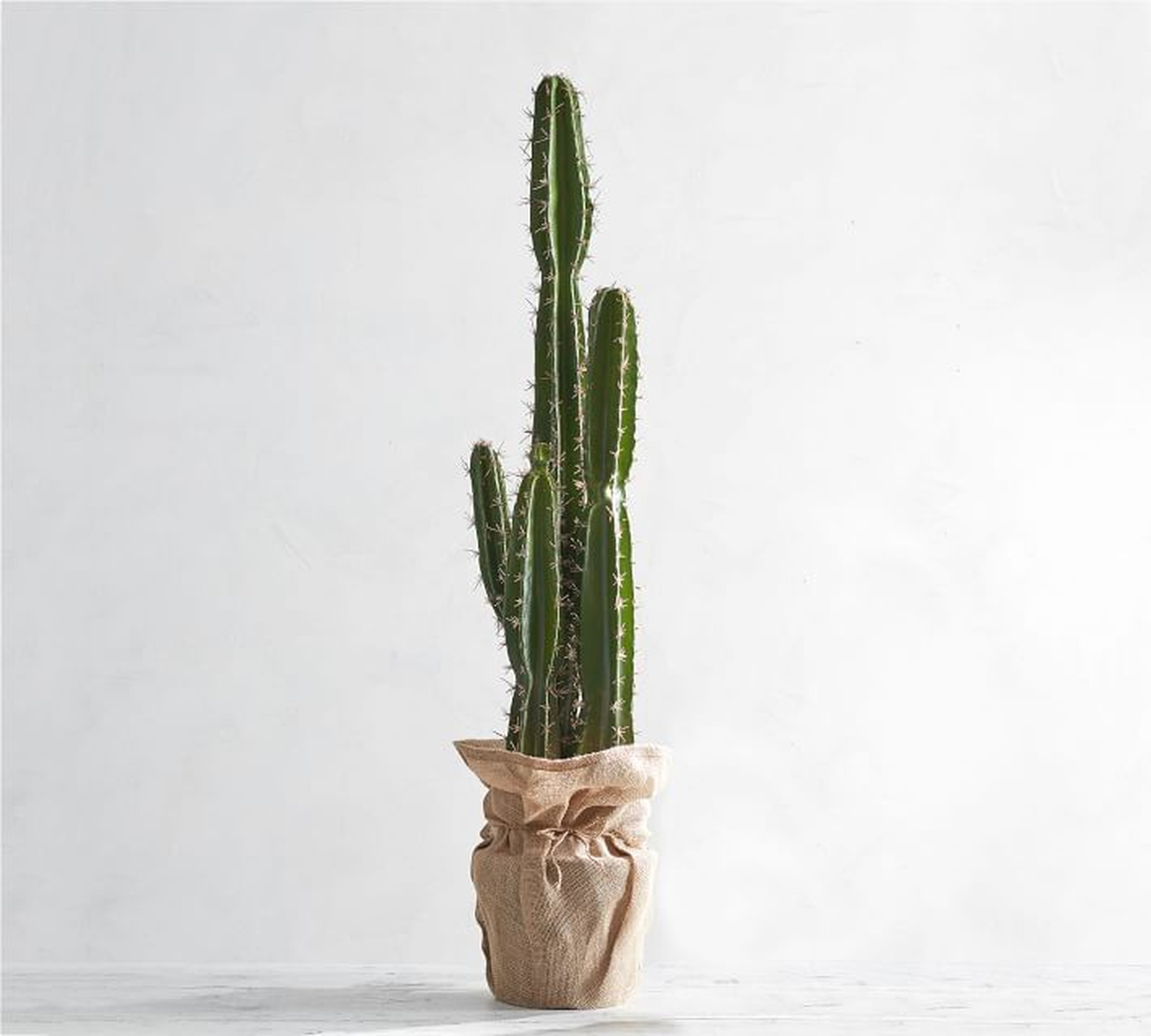Faux Potted Saguaro Cactus - Extra Large - Pottery Barn