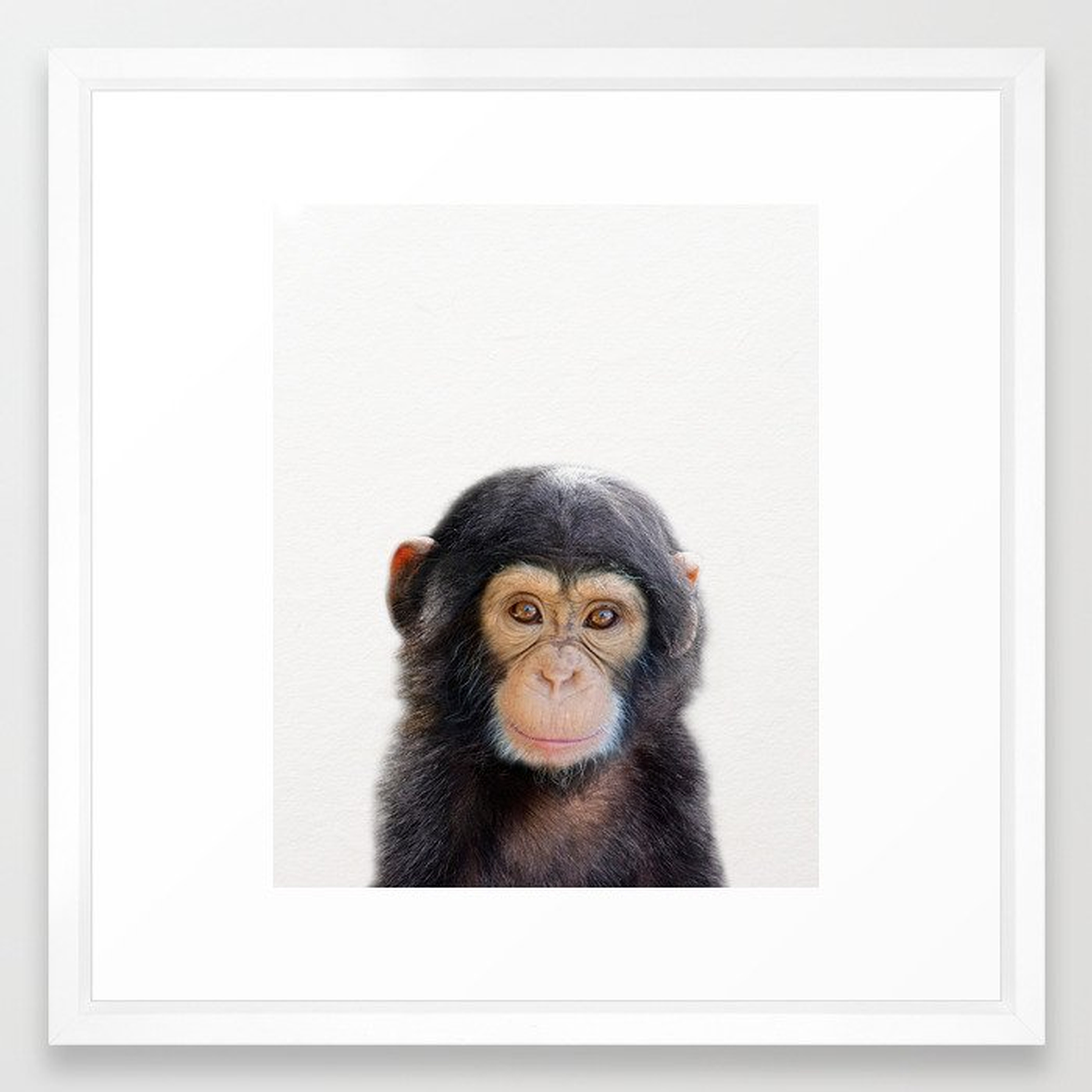 Baby Monkey, Baby Animals Art Print By Synplus Framed Art Print - Society6