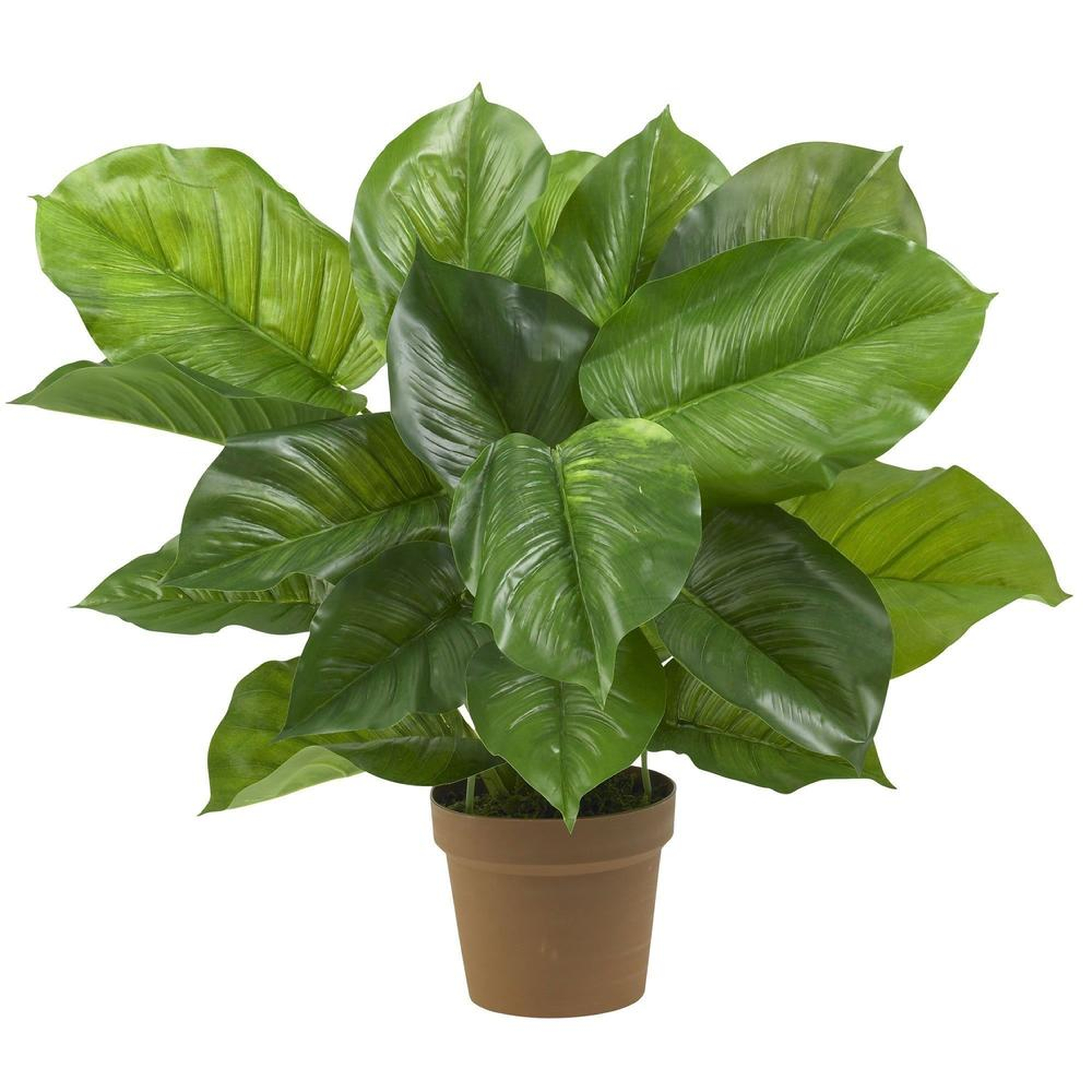 Large Leaf Philodendron Silk Plant (Real Touch) - Fiddle + Bloom