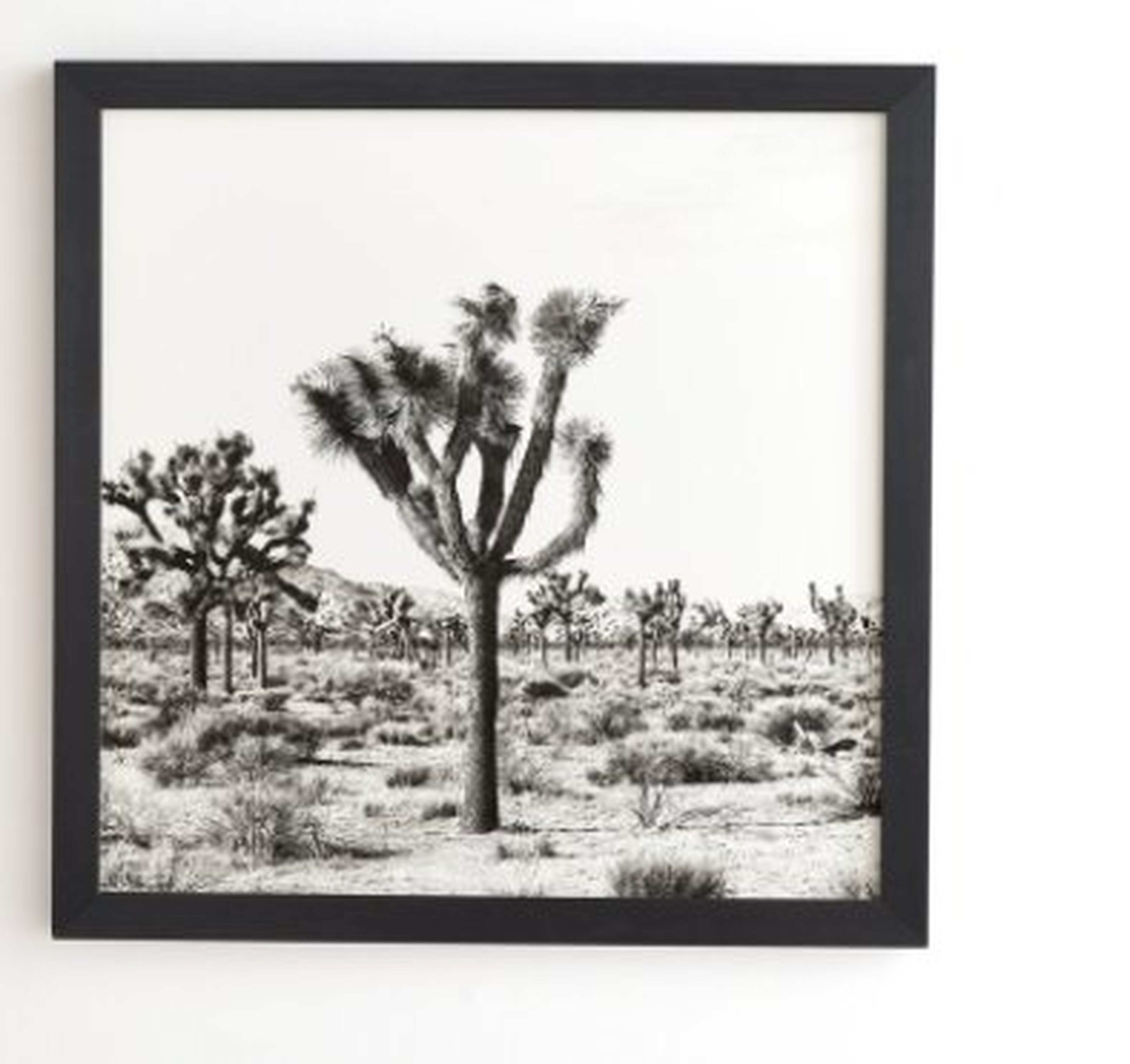 JOSHUA TREES  Basic Black Frame, 12" x12", - Wander Print Co.