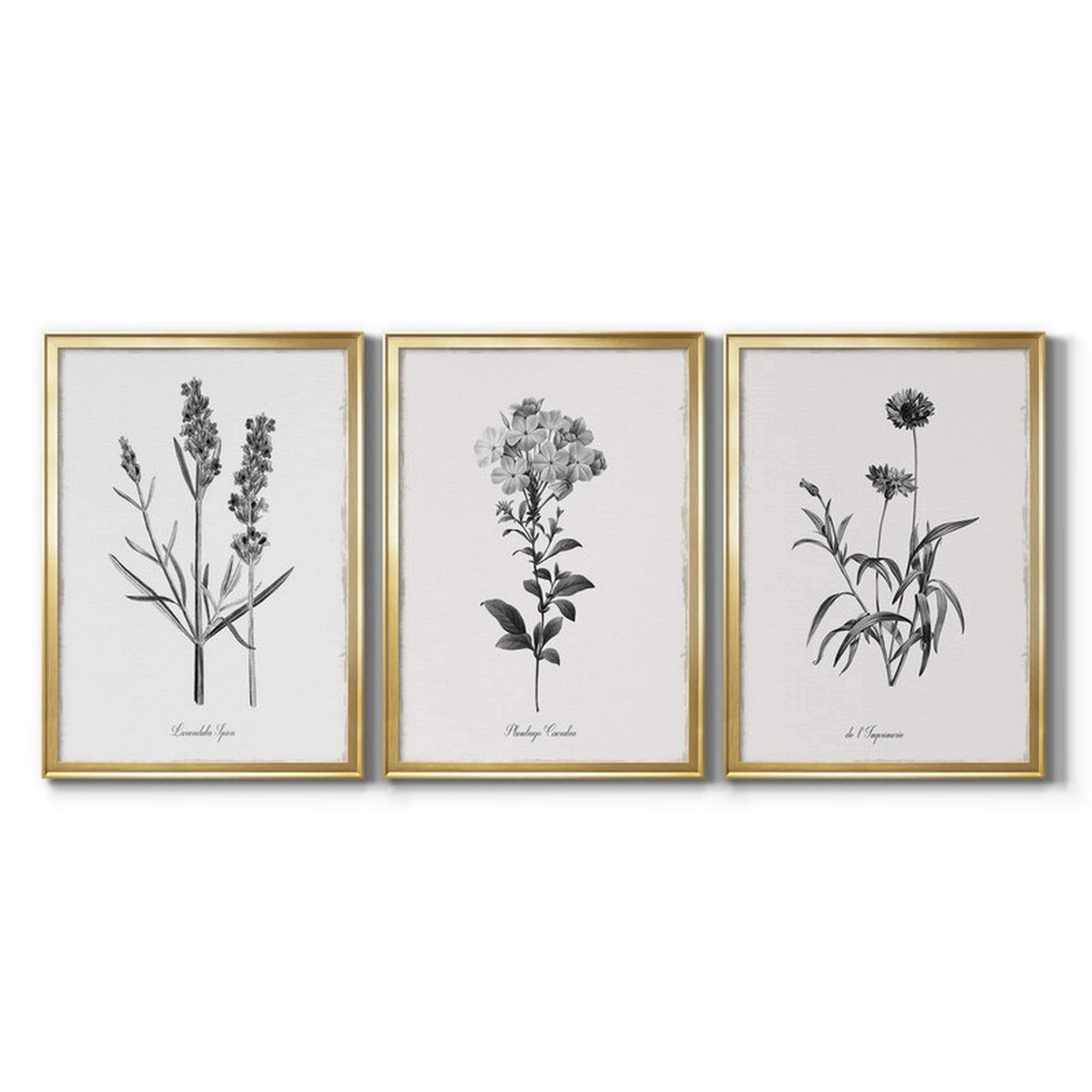 Simply Imperial - 3 Piece Picture Frame Graphic Art Set on Canvas - Wayfair