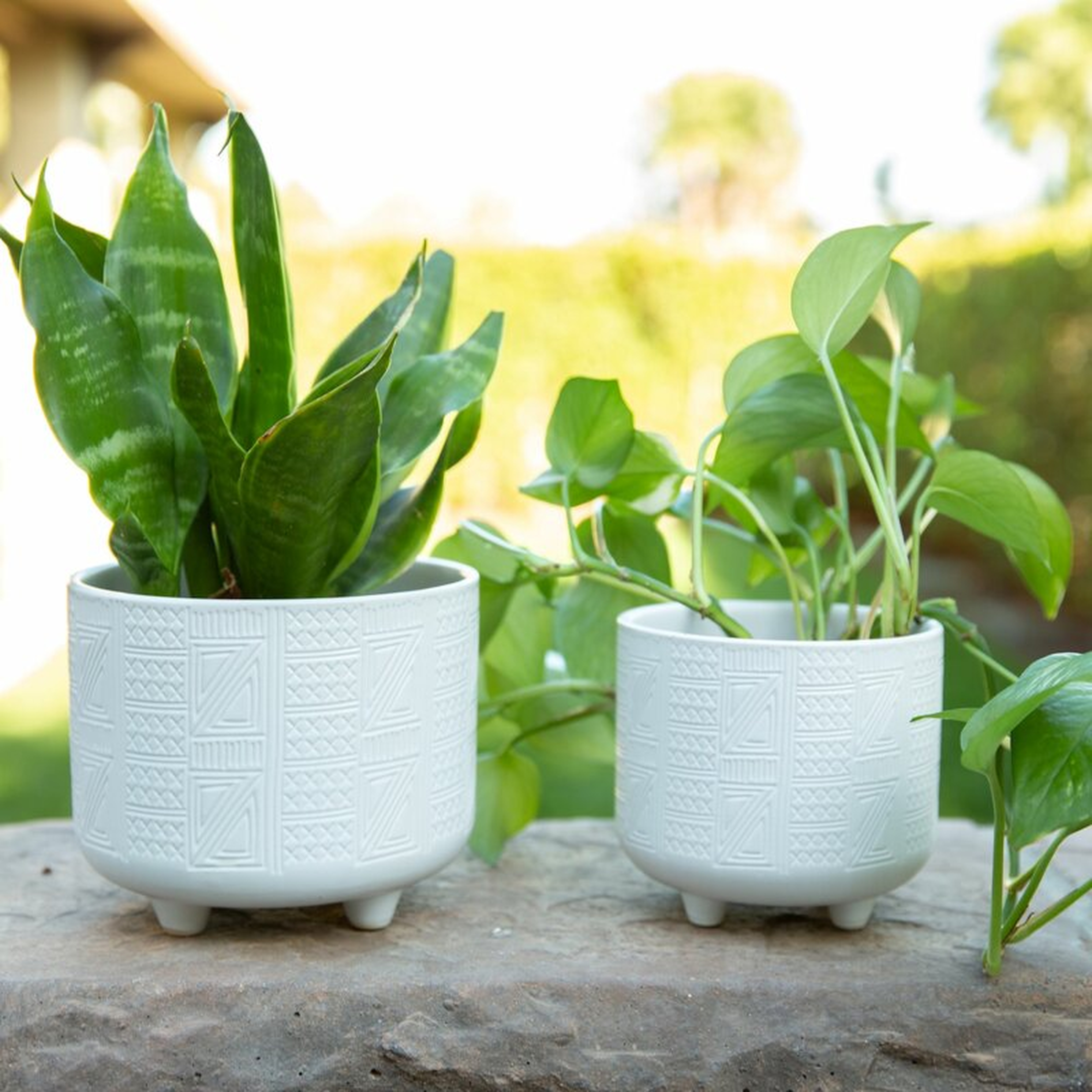 Hiero Ceramic Pot Planter - Wayfair