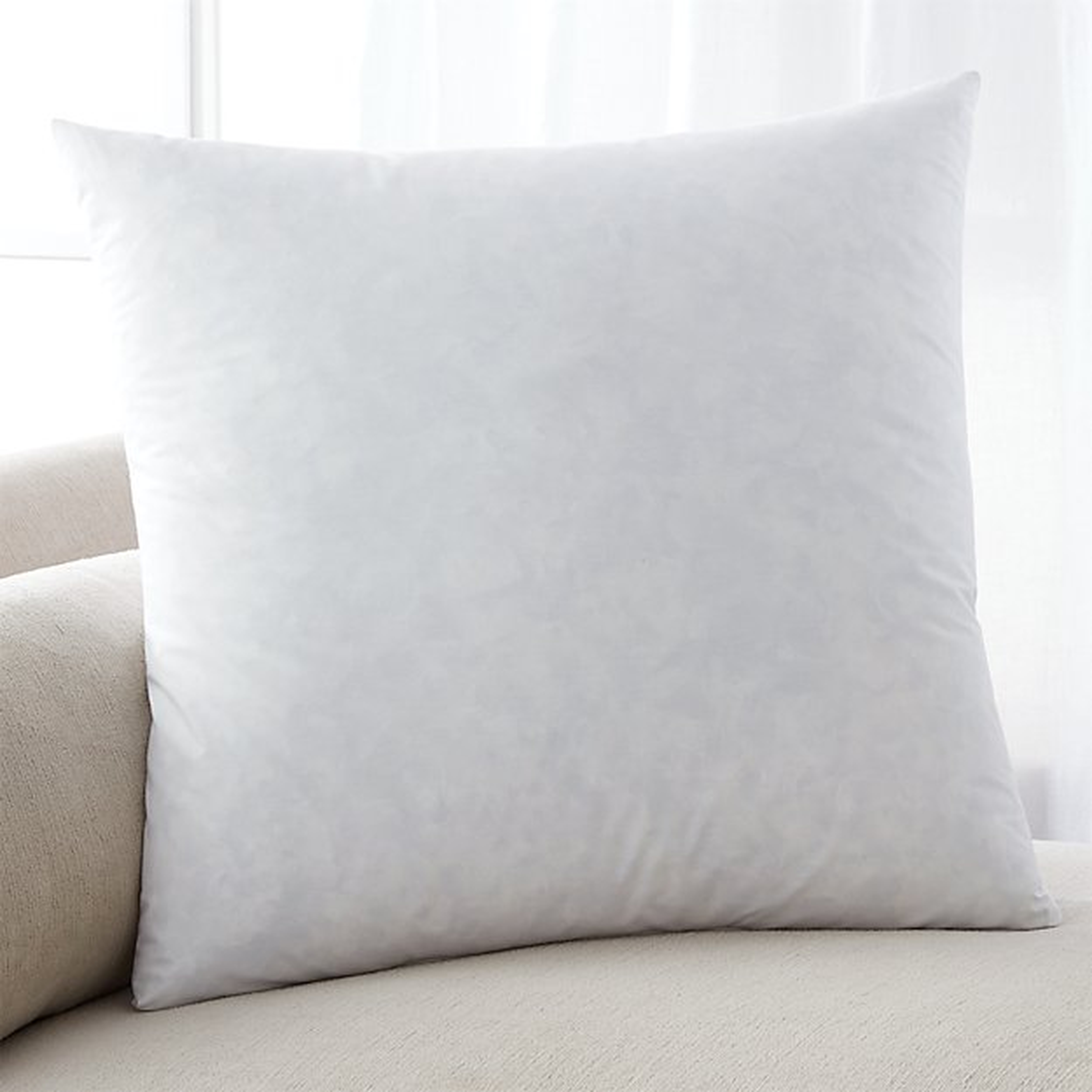 Feather-Down 23" Pillow Insert - Crate and Barrel
