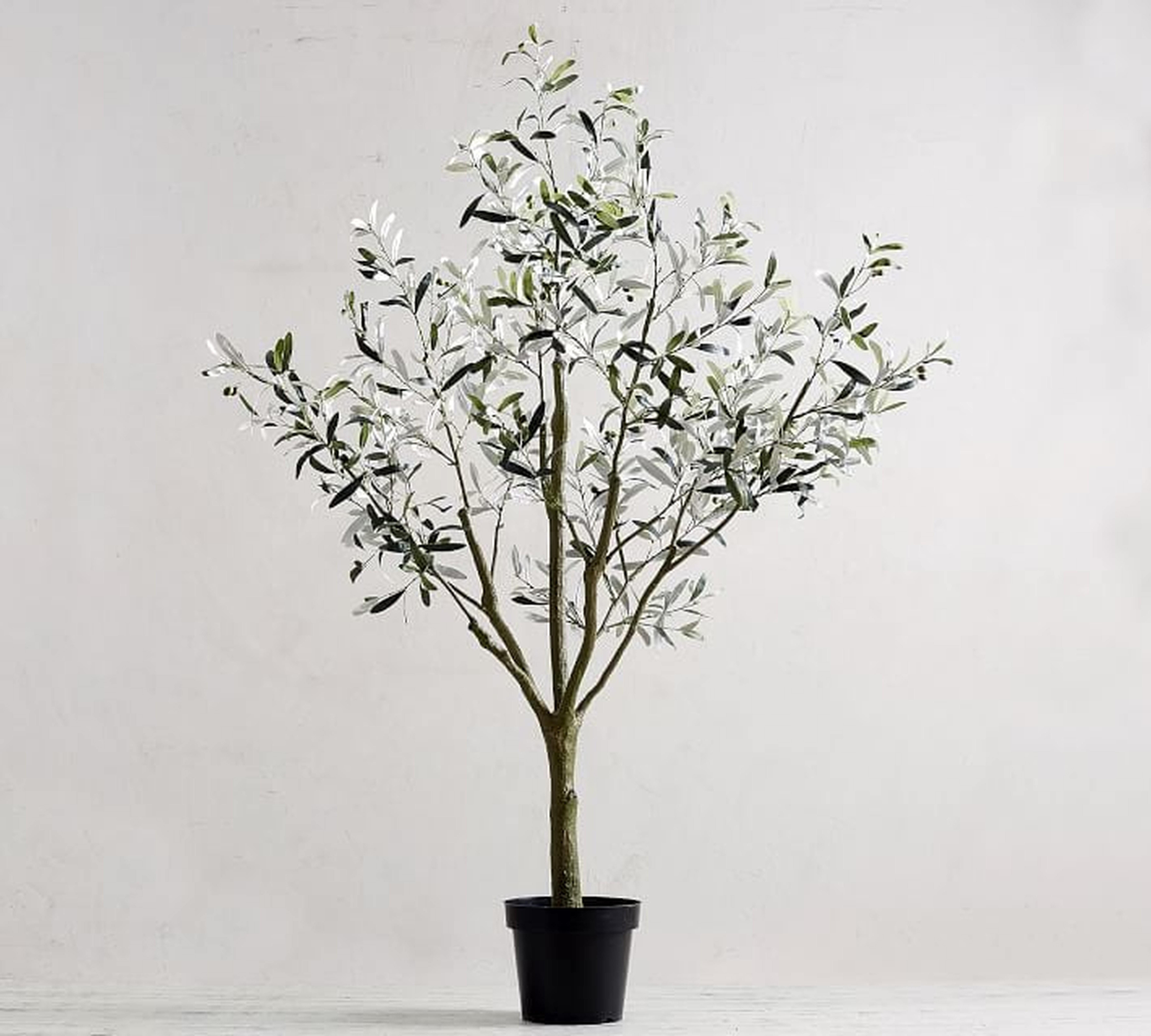 Faux Potted Olive Tree, Large 71" - Pottery Barn