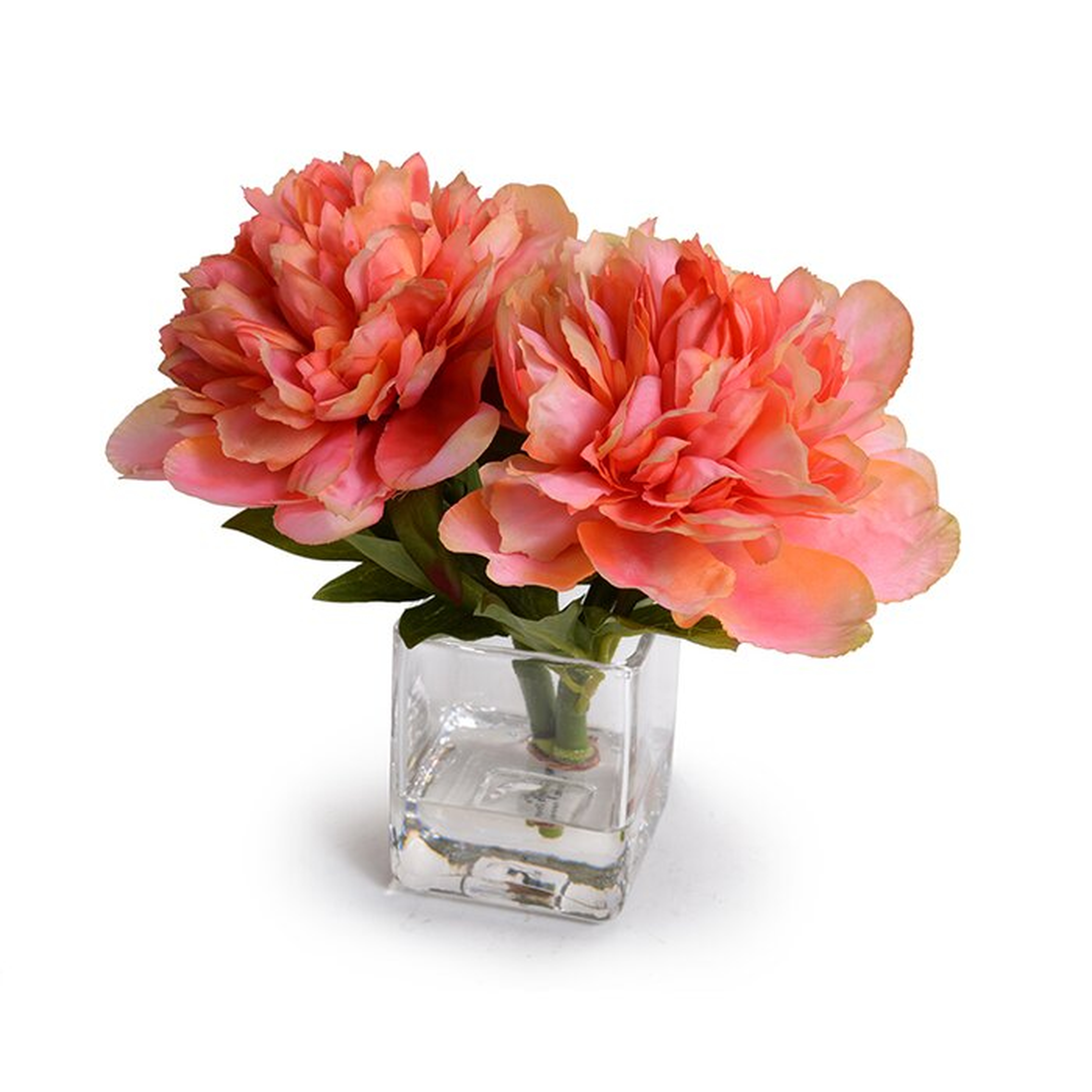 Coral Peonies Floral Arrangement in Vase - Wayfair