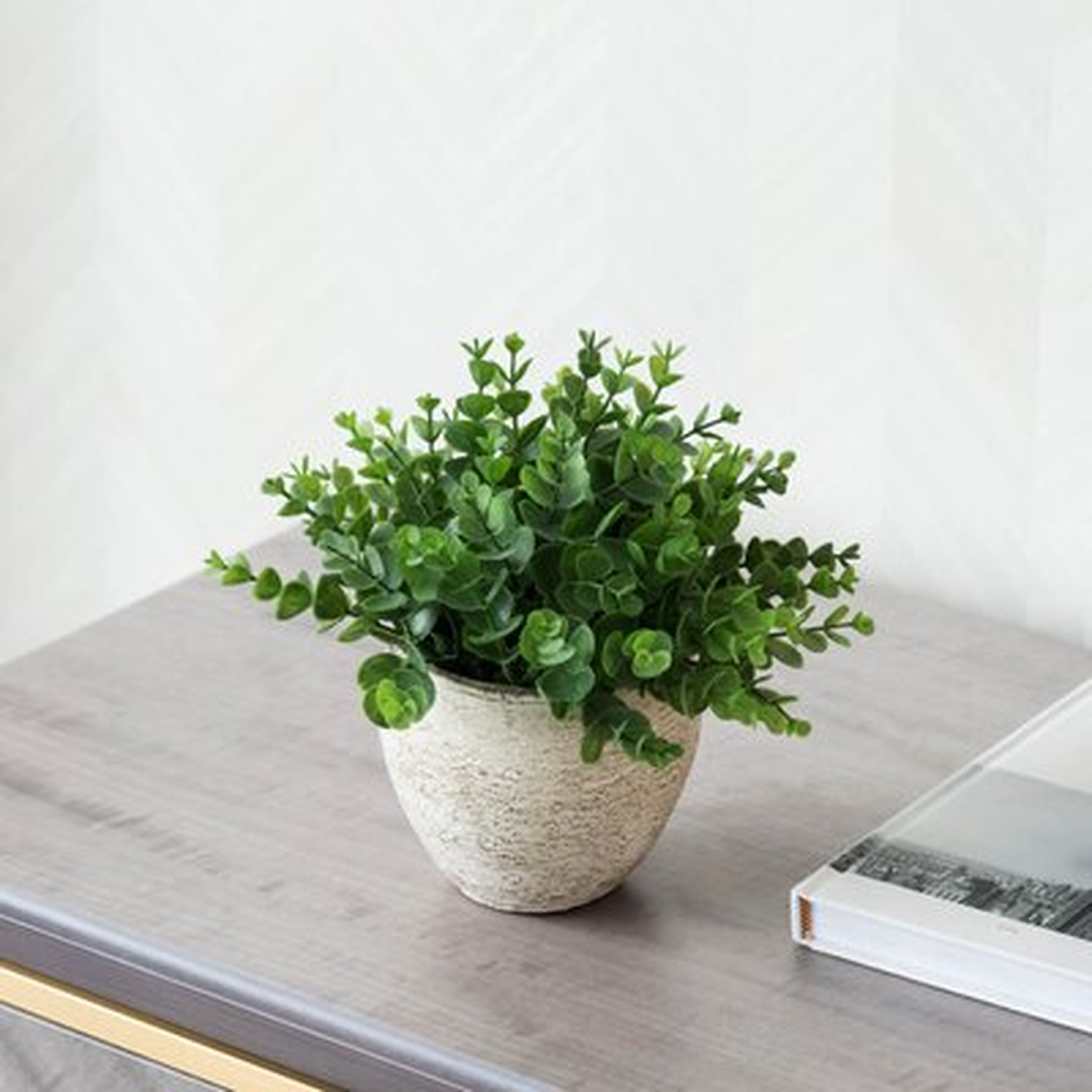 5'' Artificial Succulent Plant in Pot - Wayfair