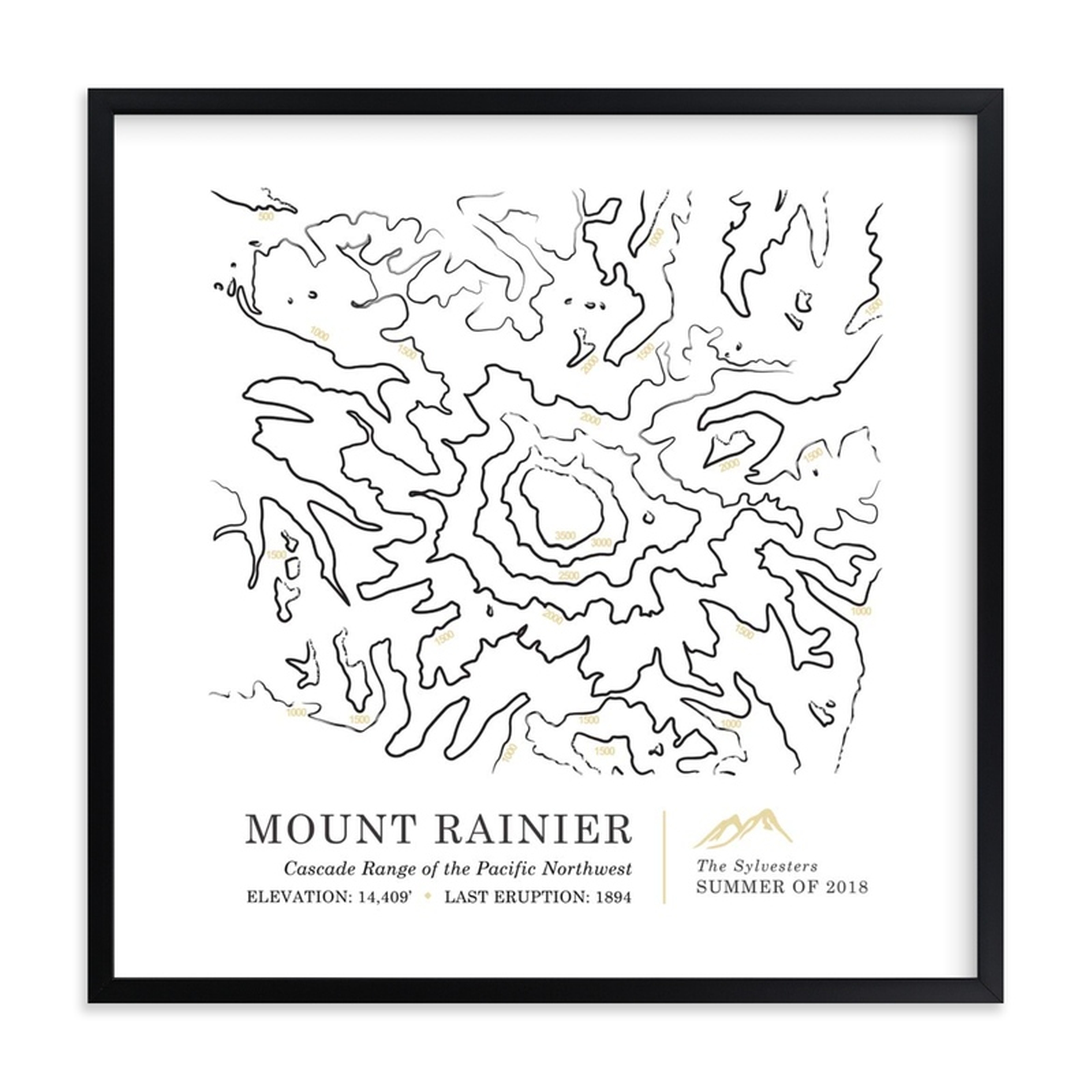 Inked Topography - Mount Ranier - Minted