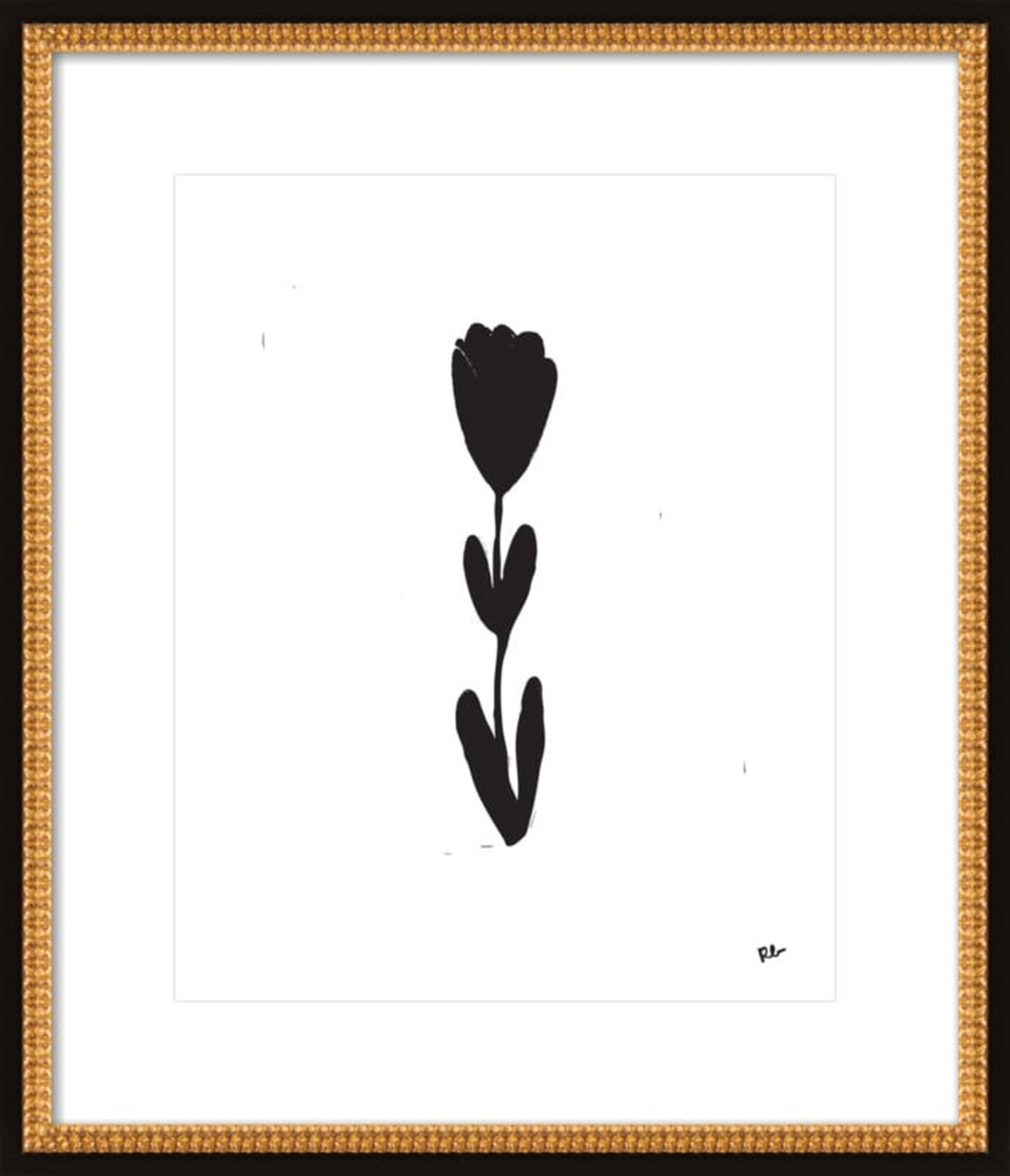 Tulip Stem by Rob Blackard, 20" x 24" - Artfully Walls