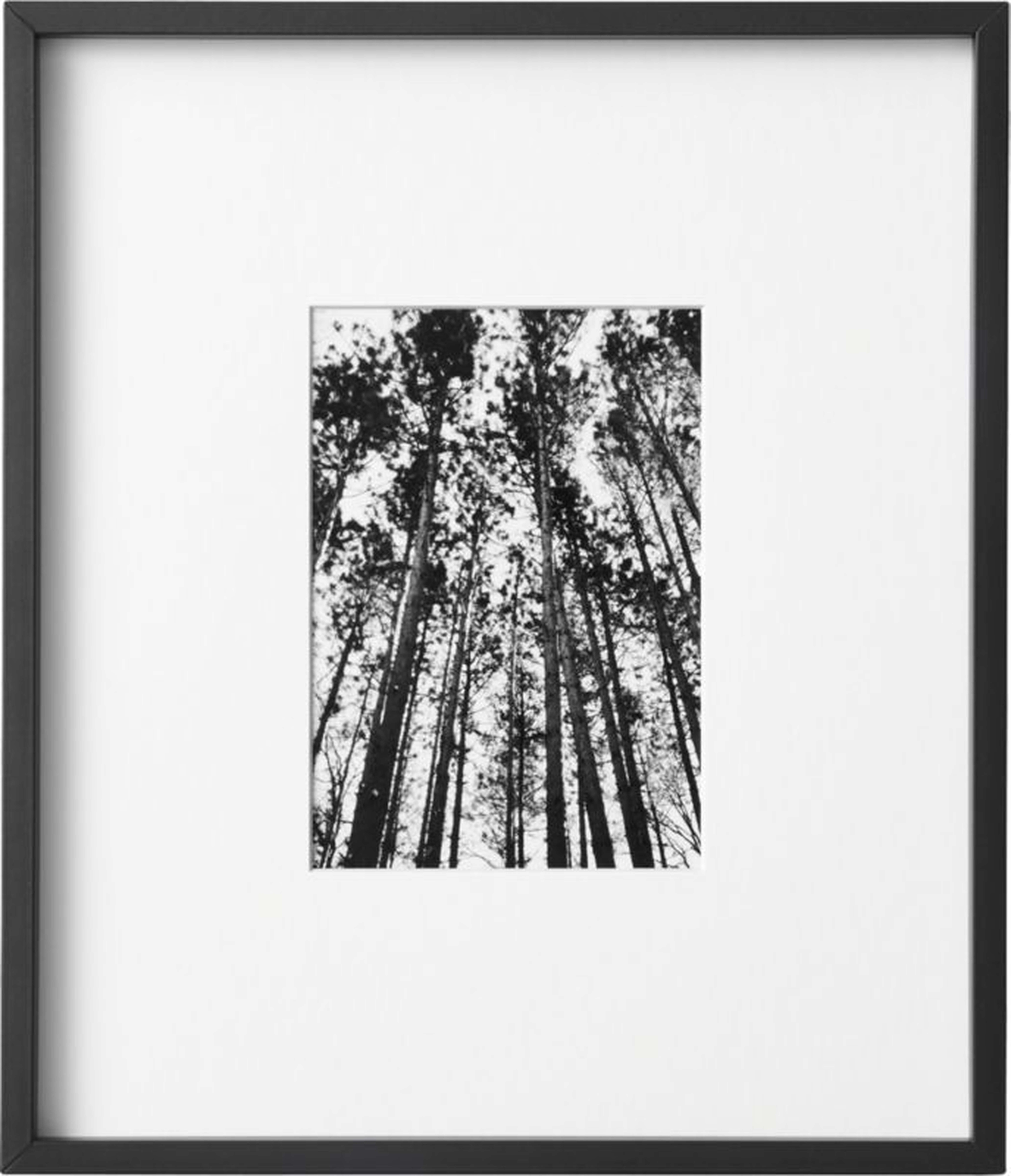 Gallery Black Frame with White Mat 5x7 - CB2