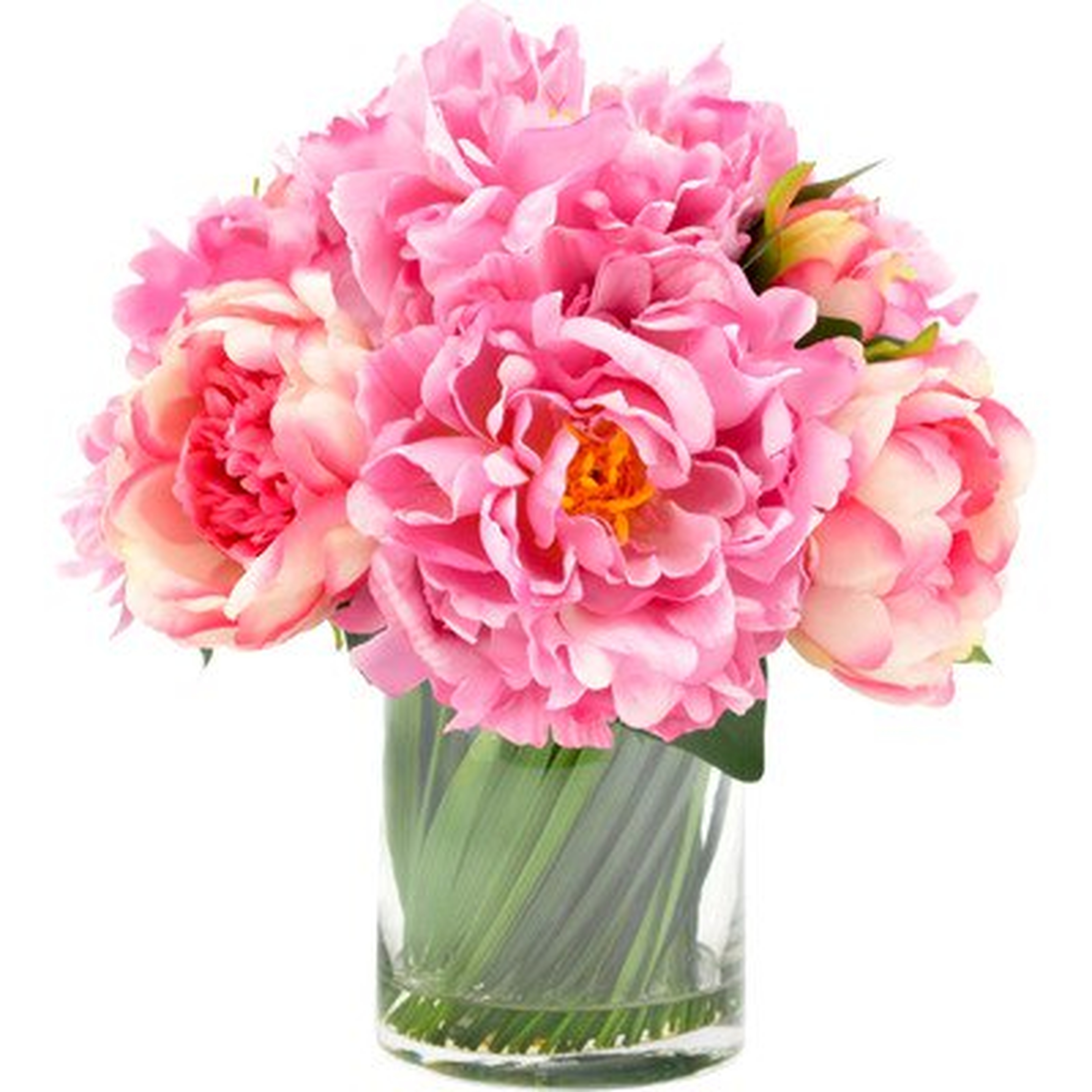 Peony Centerpiece in Vase - Birch Lane