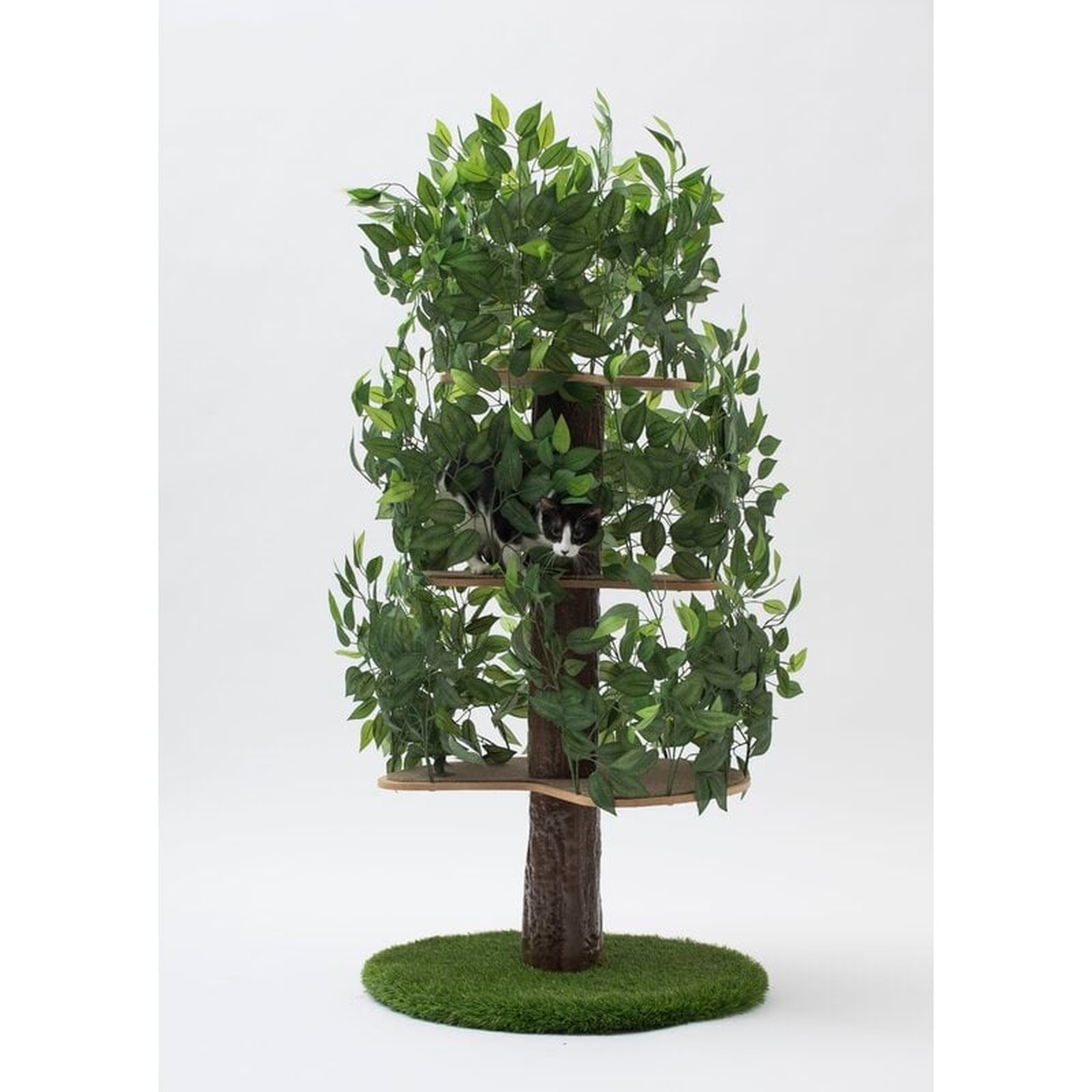 Henrietta 60'' H Cat Tree - Wayfair
