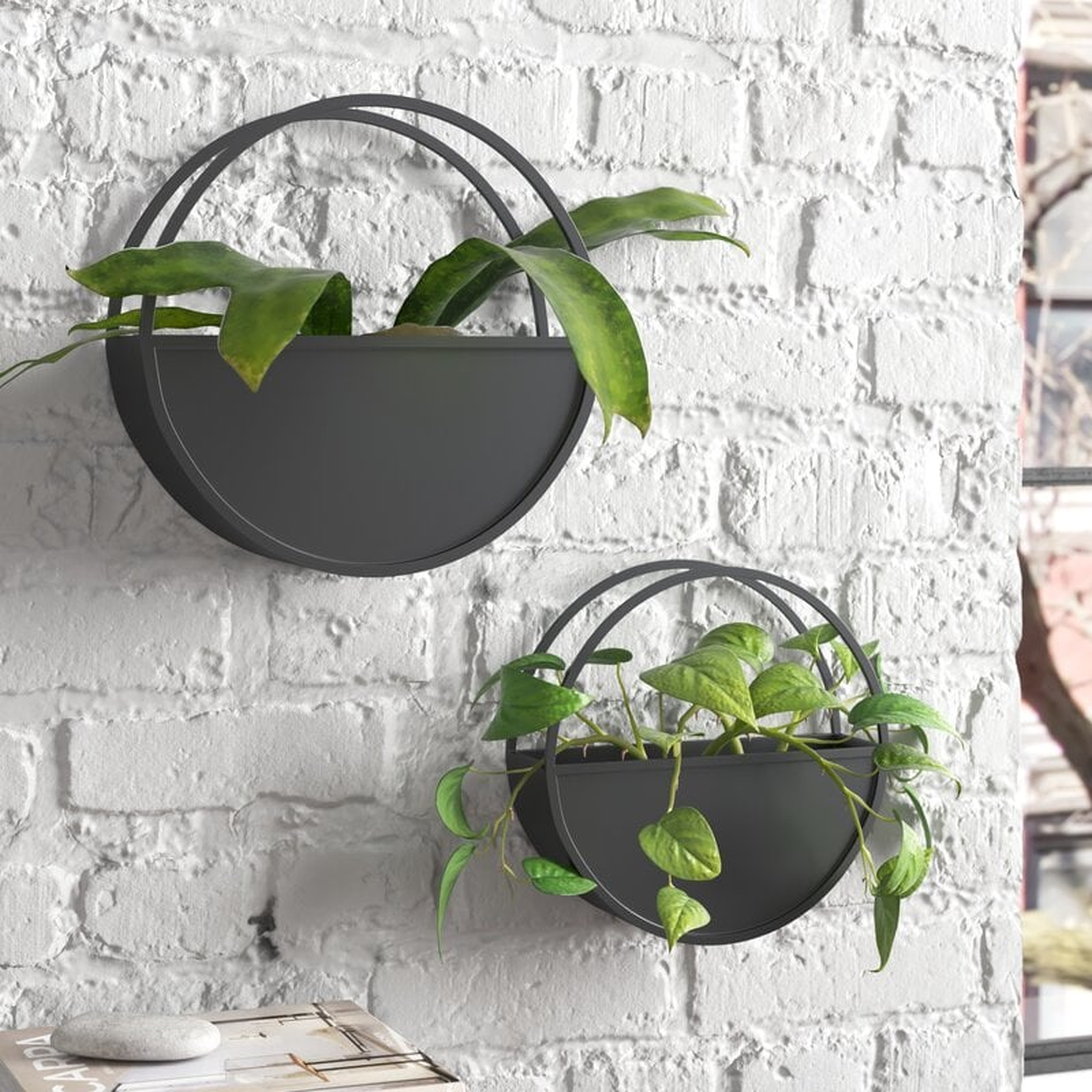 Ember 2-Piece Wall Planter Set - Wayfair