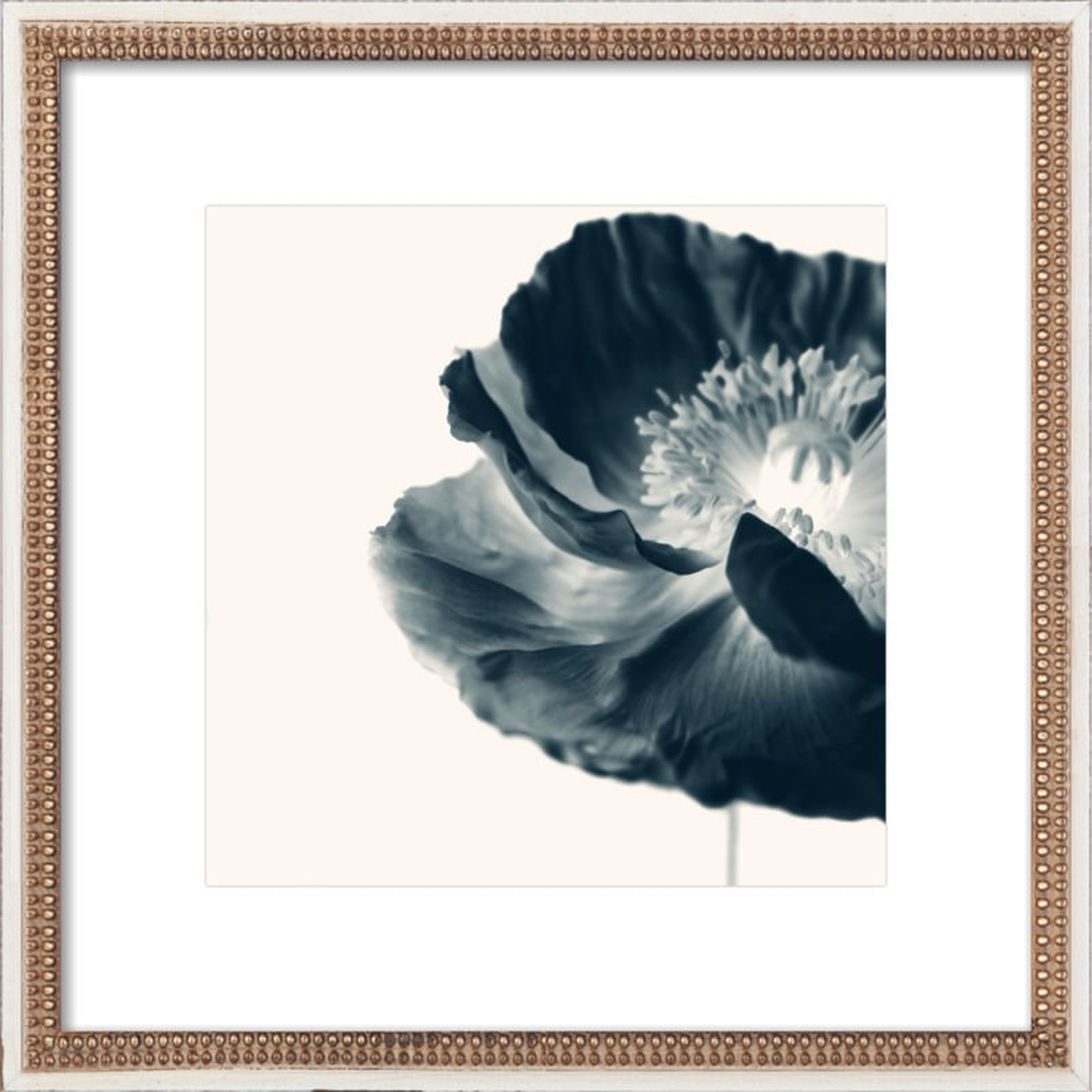 Cyan Poppy #2 - Artfully Walls