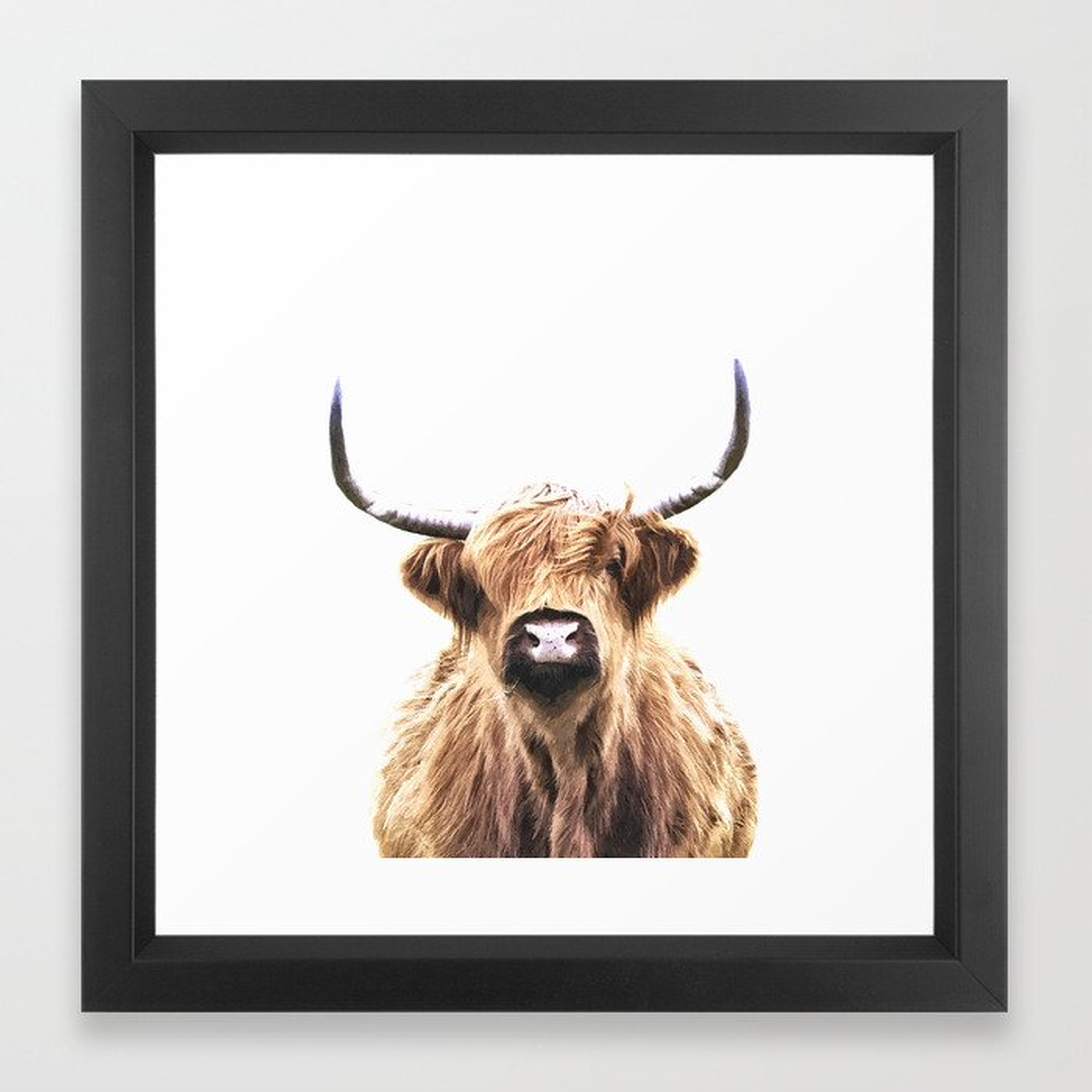 Highland Cow Portrait Framed Art Print by Alemi 12"x12" walnut - Society6