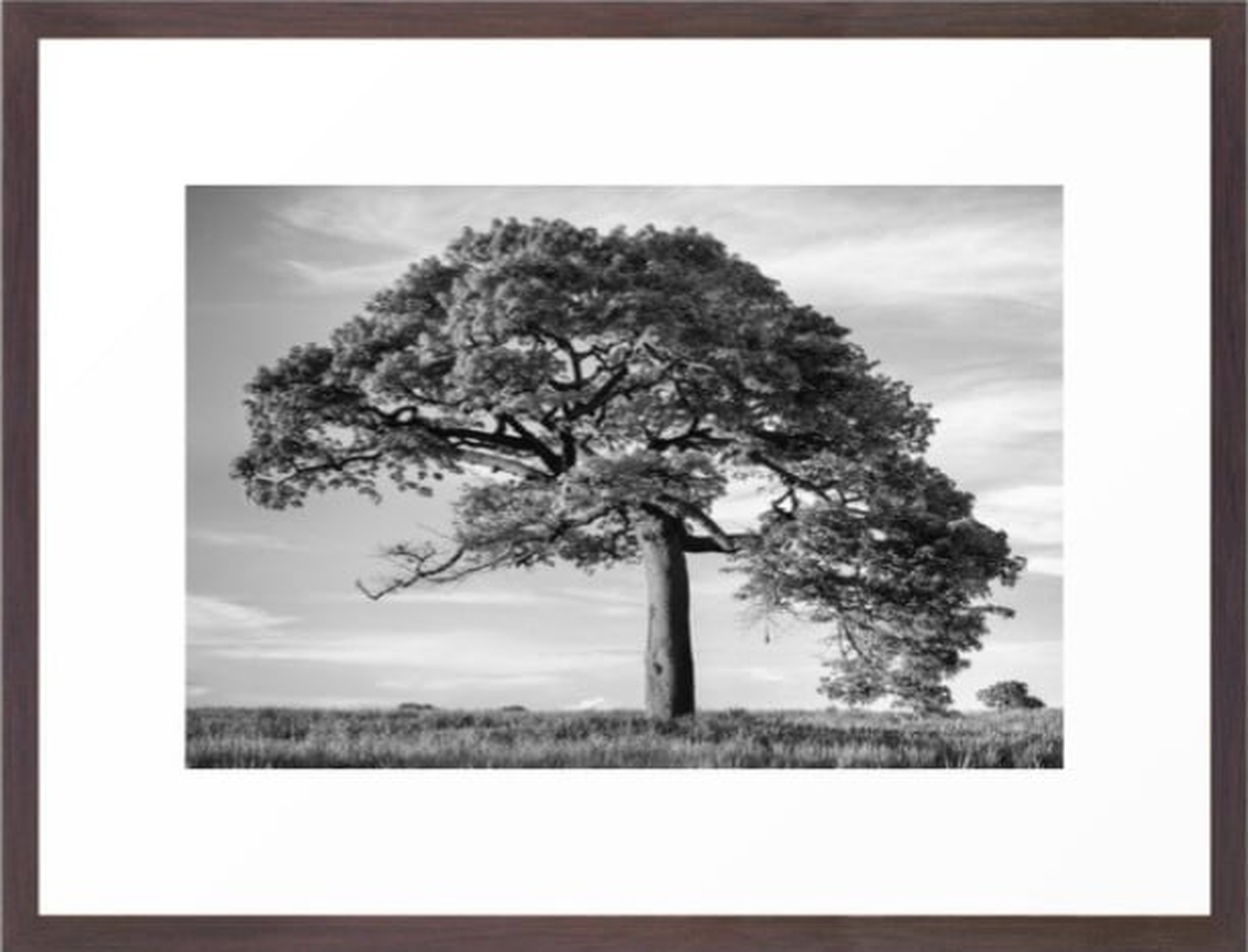 The Tree (Black and White) Framed Art Print - Society6