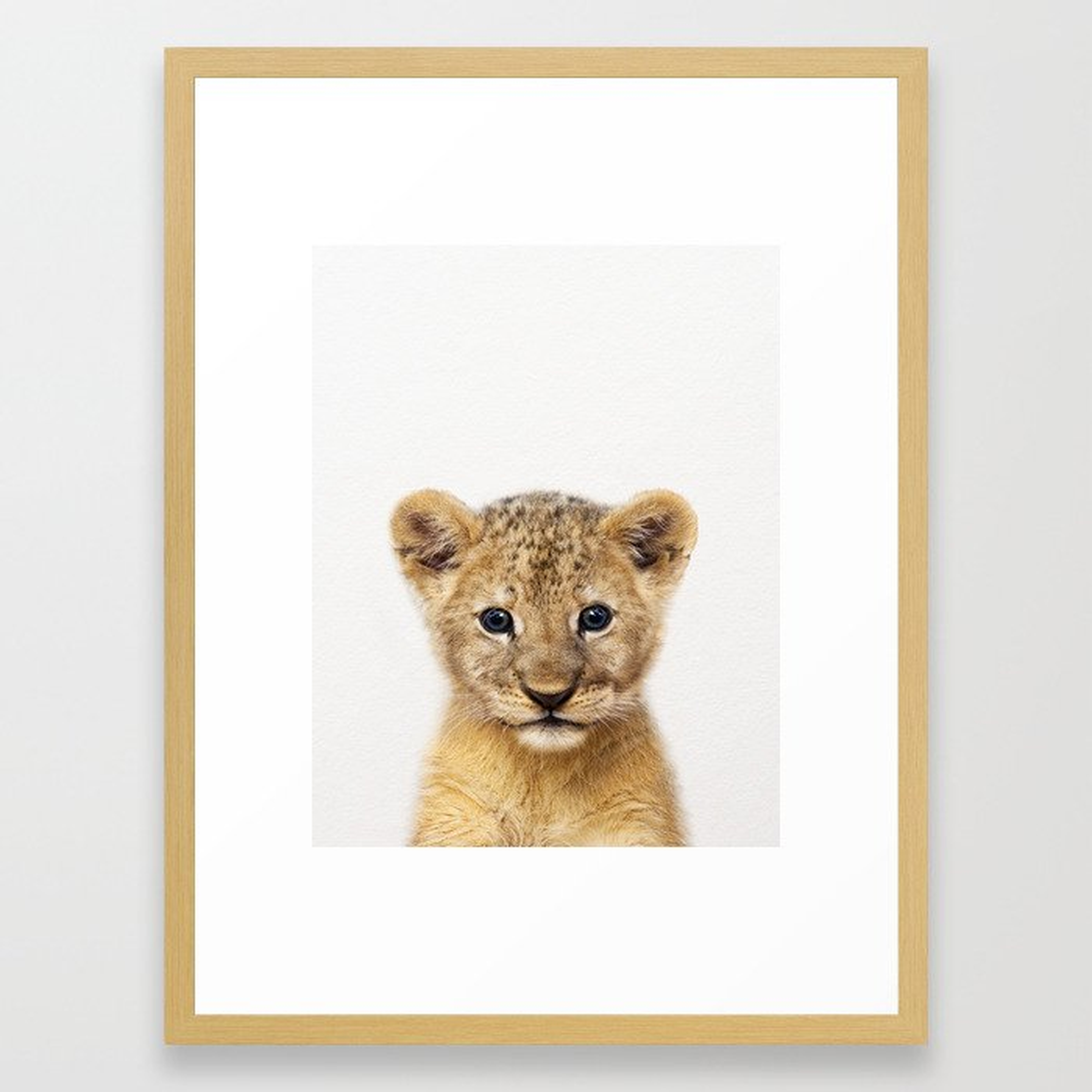 Baby Lion, Baby Animals Art Print By Synplus Framed Art Print, 20" x 26", Conservation Natural - Society6