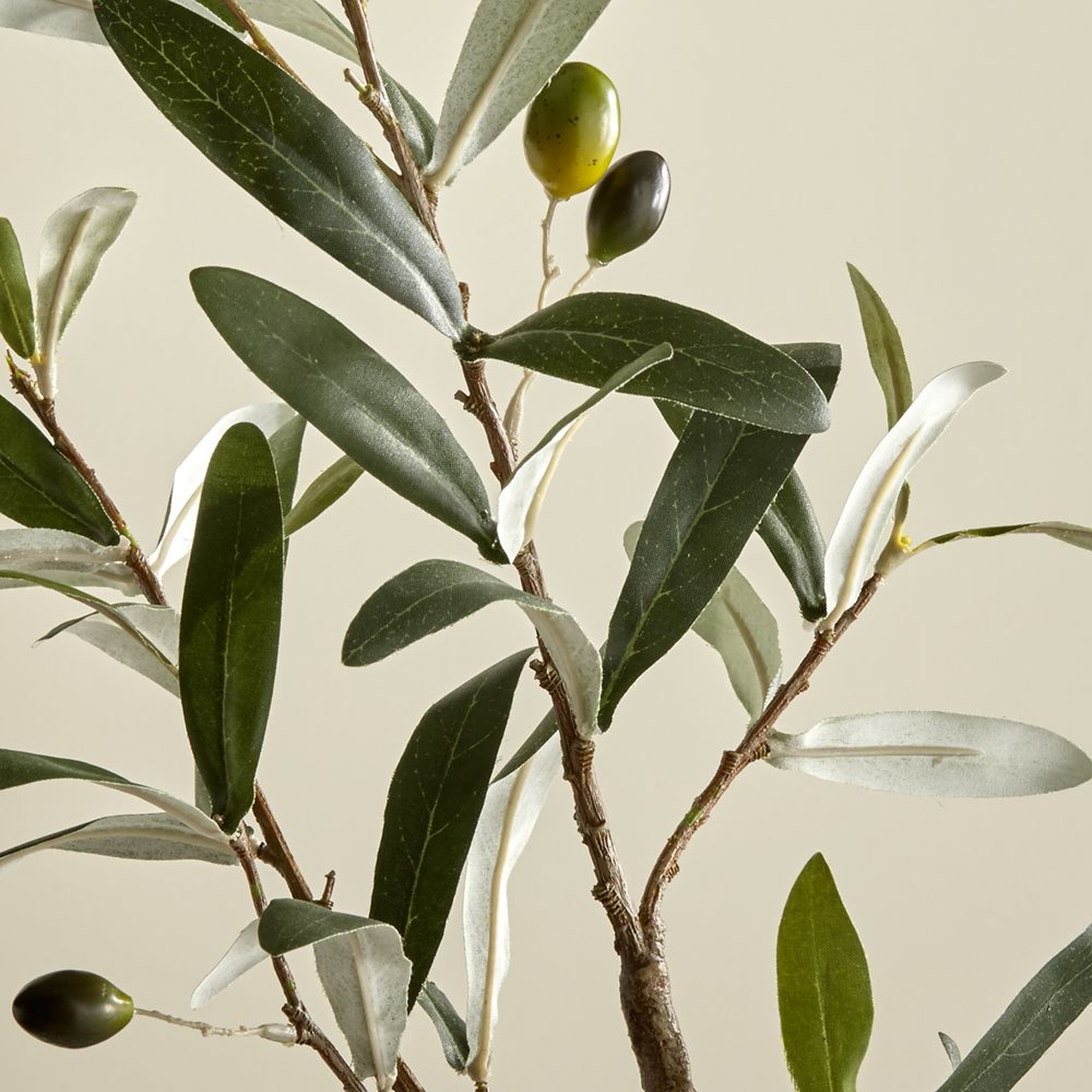 Faux Olive Stem - Crate and Barrel