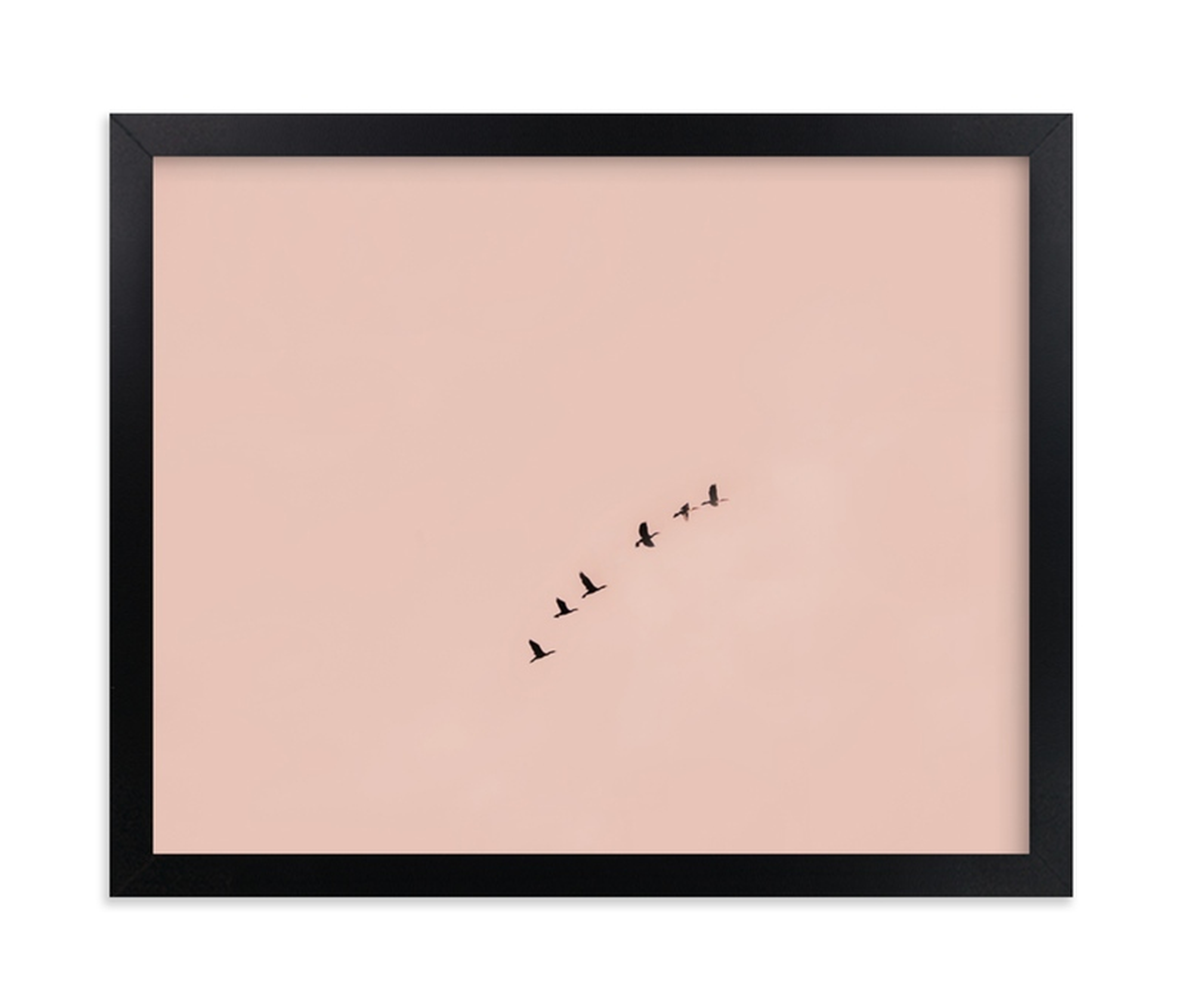 birds in flight ,10" X 8" - Minted