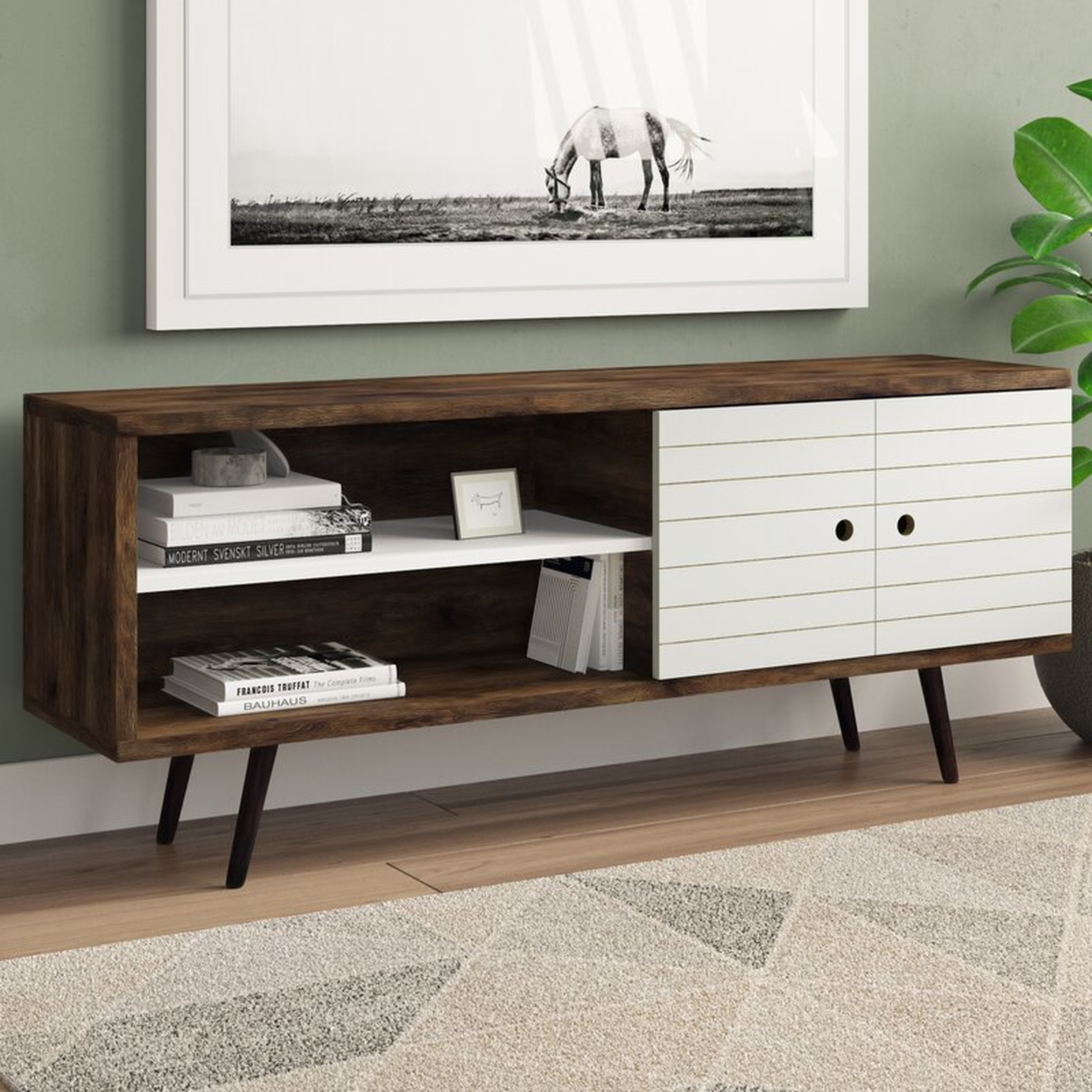 Hal TV Stand for TVs up to 60 inches - AllModern