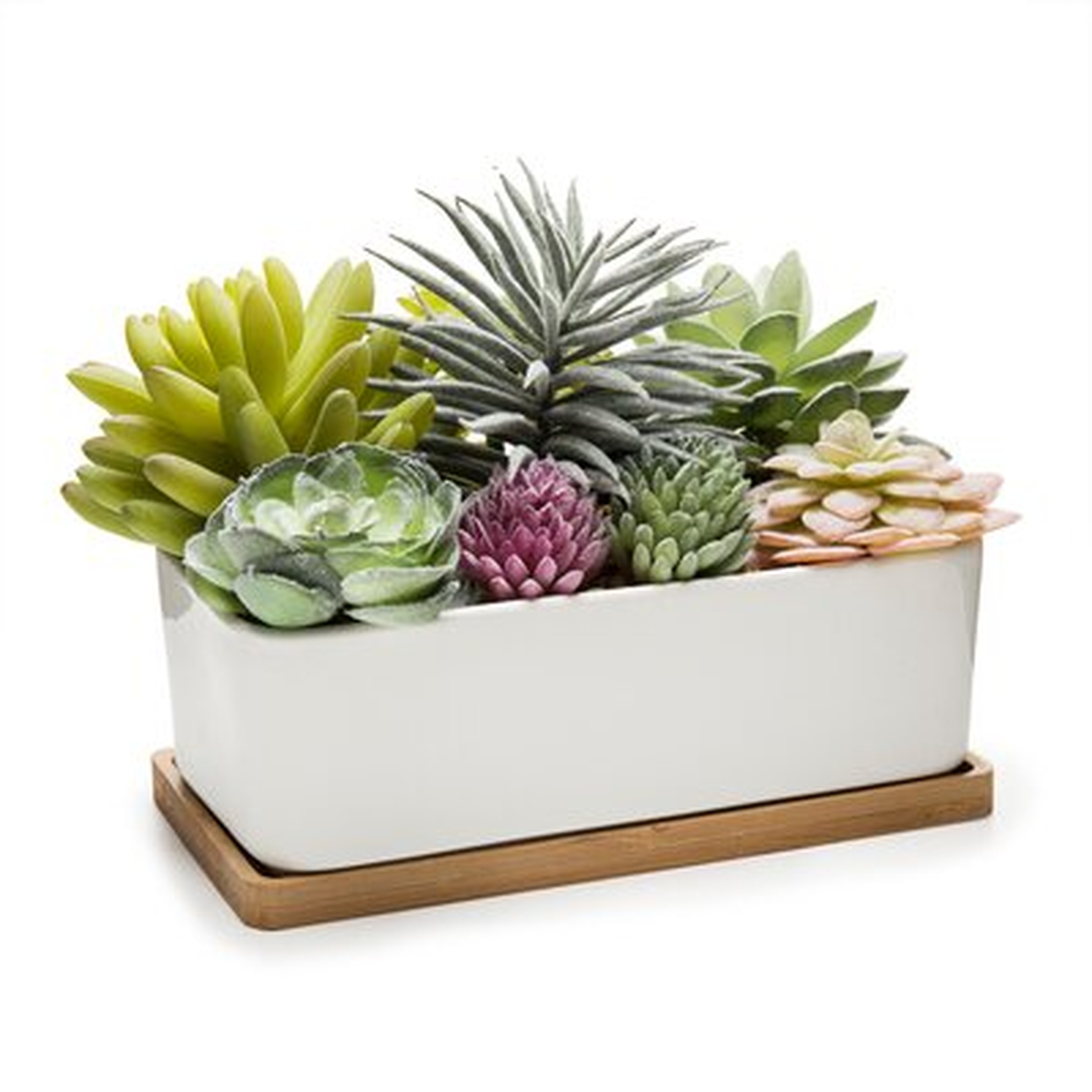 Artificial Succulents In Pot With Tray - Wayfair