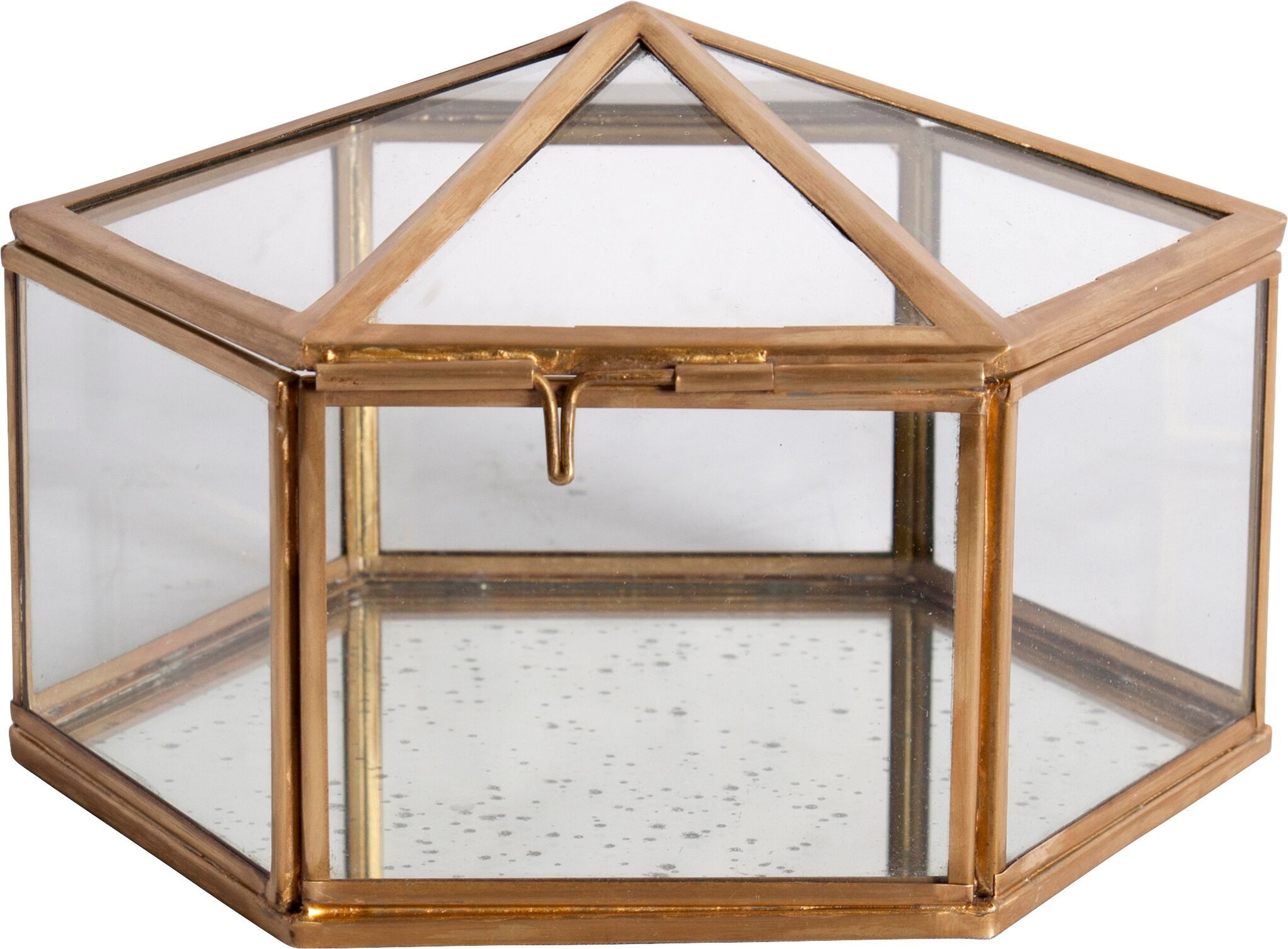 Bliss Studio Boite Vitrine Glass Box - Perigold