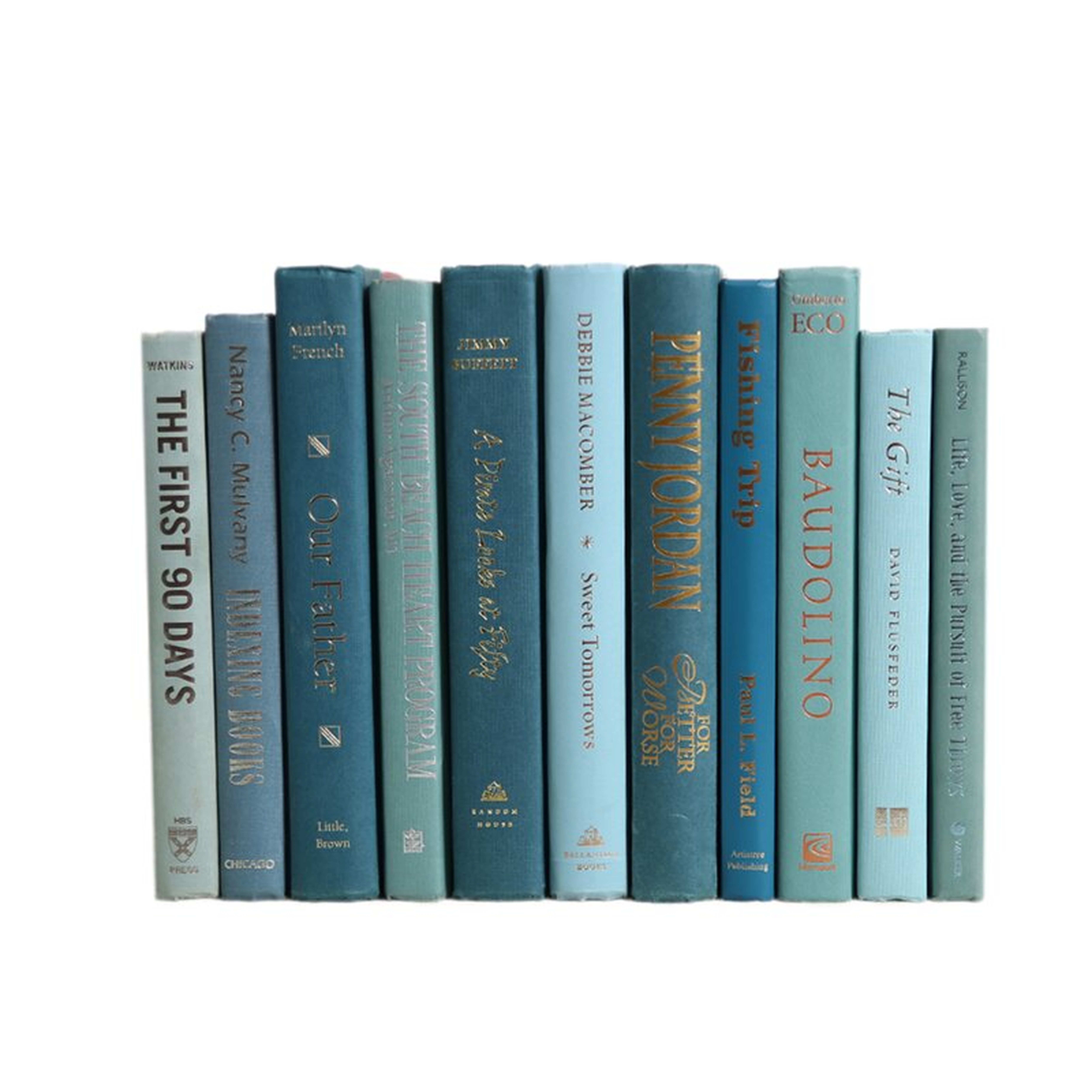 Booth & Williams Gulf Coast Colorpak Authentic Decorative Book - Perigold