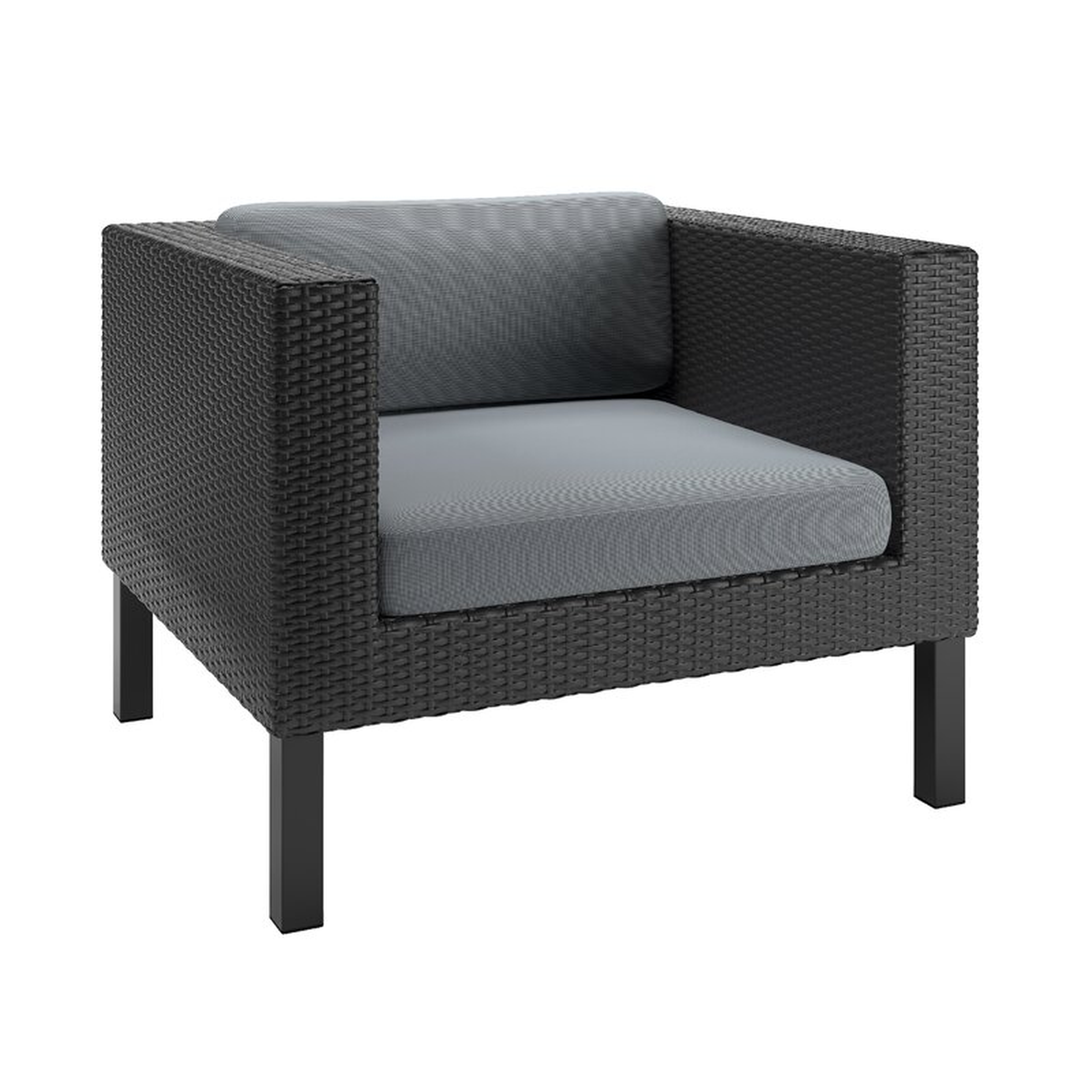 Socha Patio Chair with Cushion - AllModern