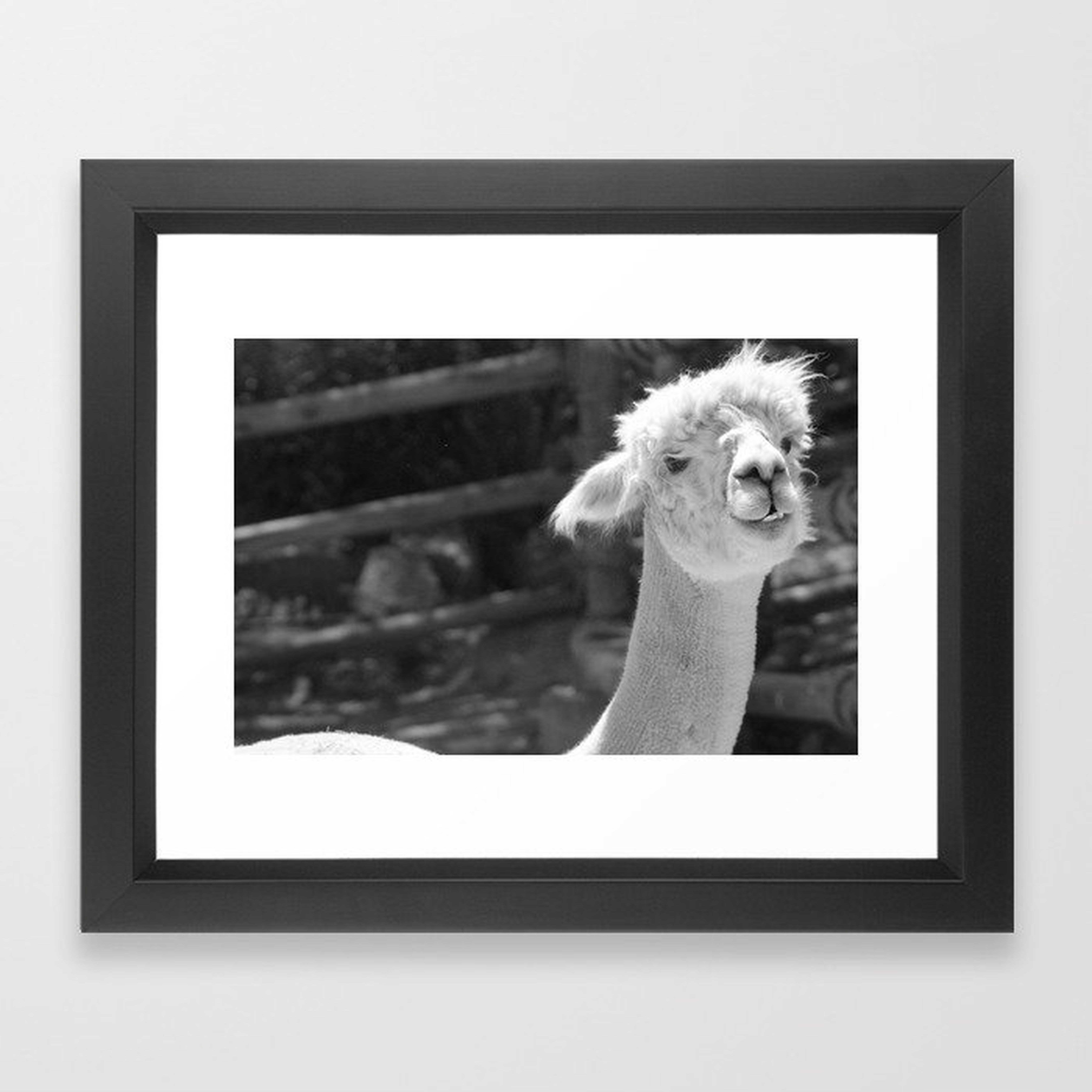 Alpaca bag Photograph Framed Art Print - Society6