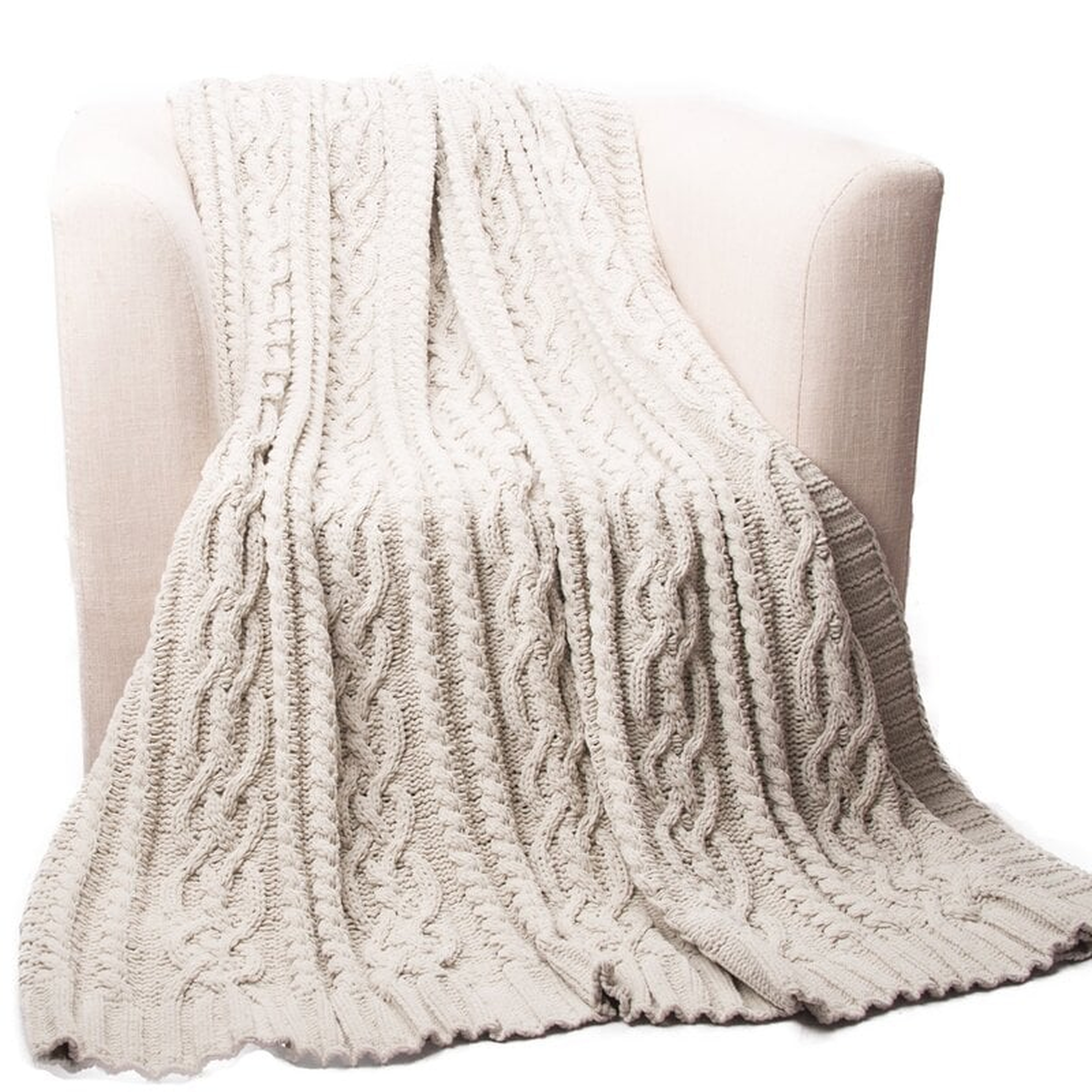 Shibles Knitted Luxury Chenille Throw - Birch Lane