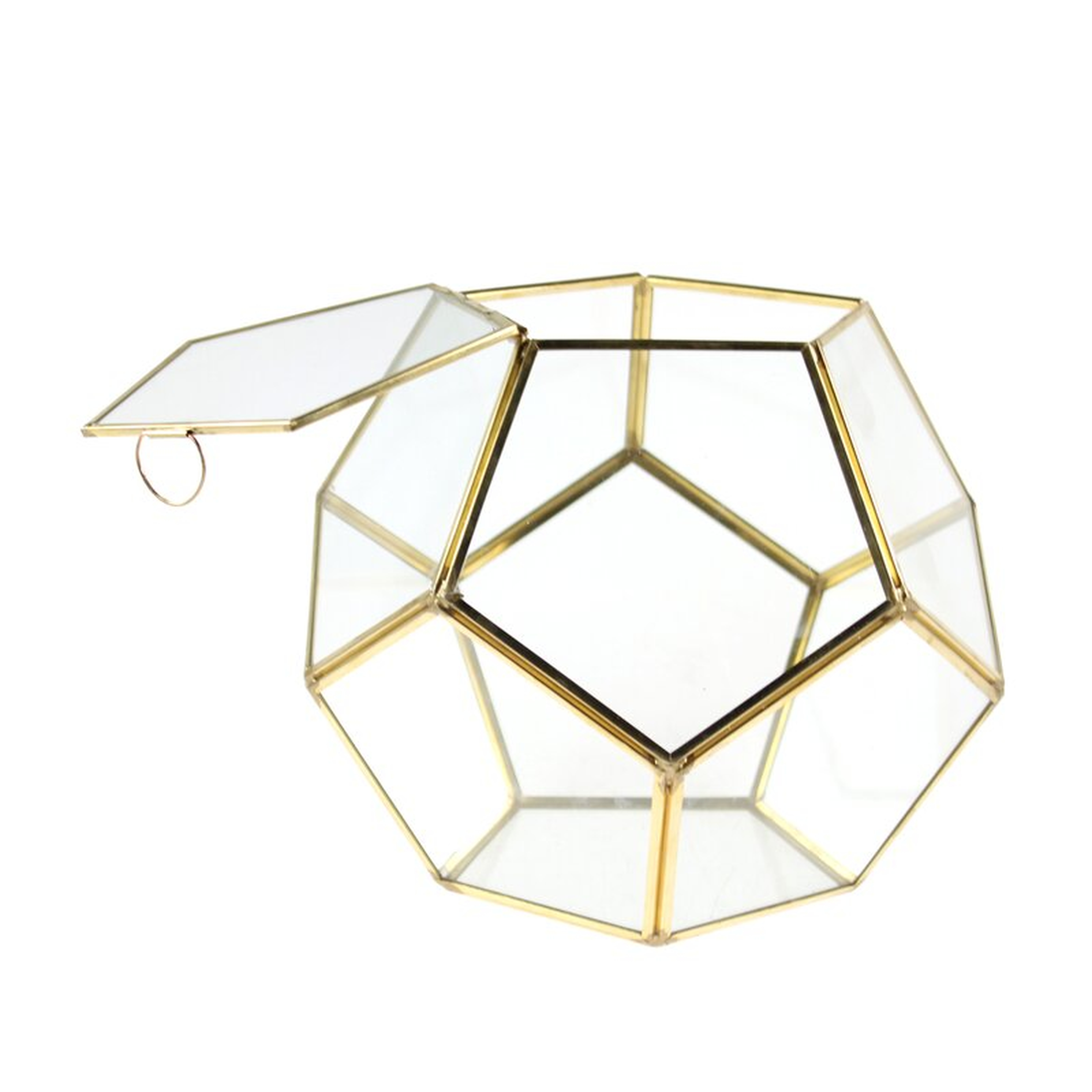 Carrol Dodecahedron Glass Terrarium - Wayfair