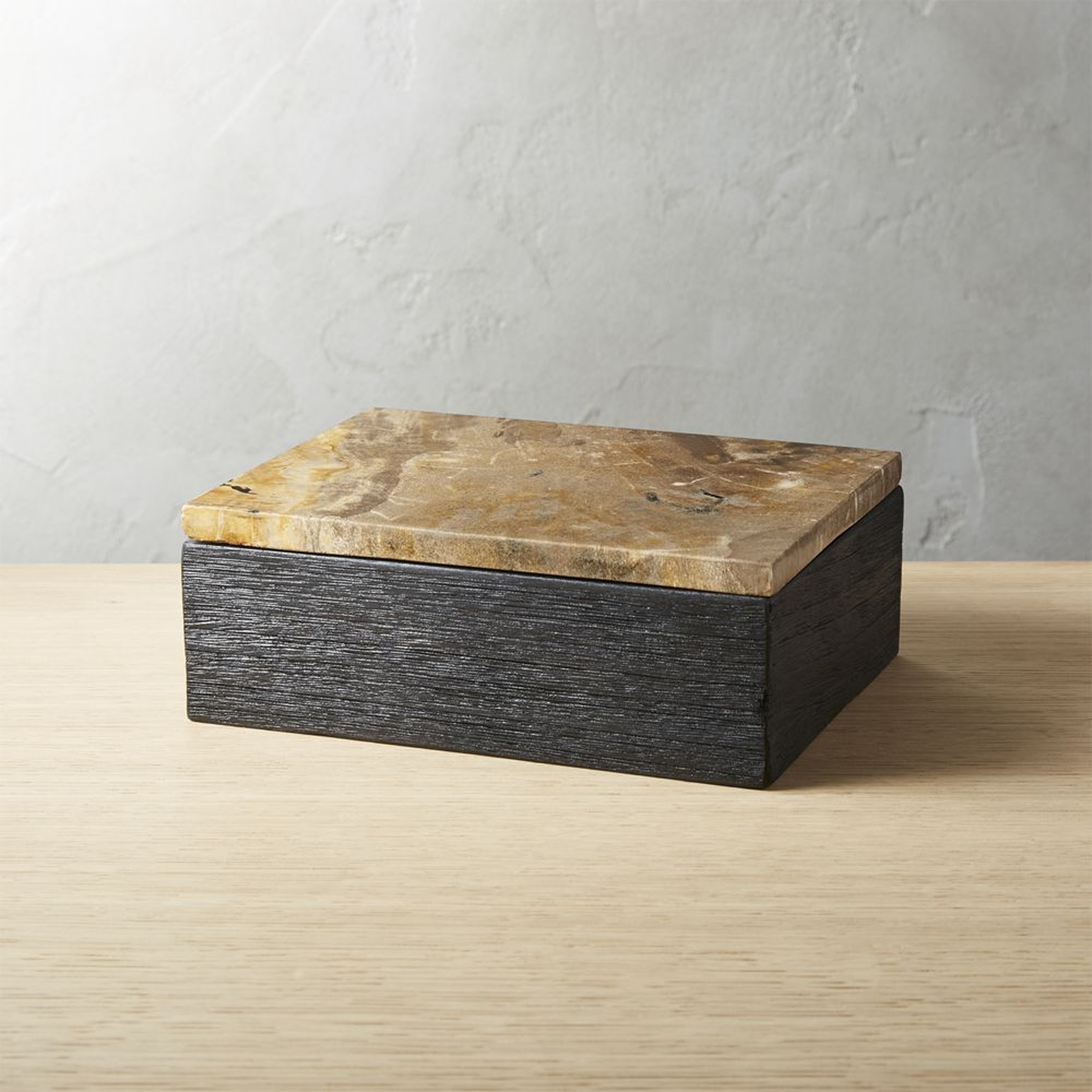 Petrified Wood Box - CB2