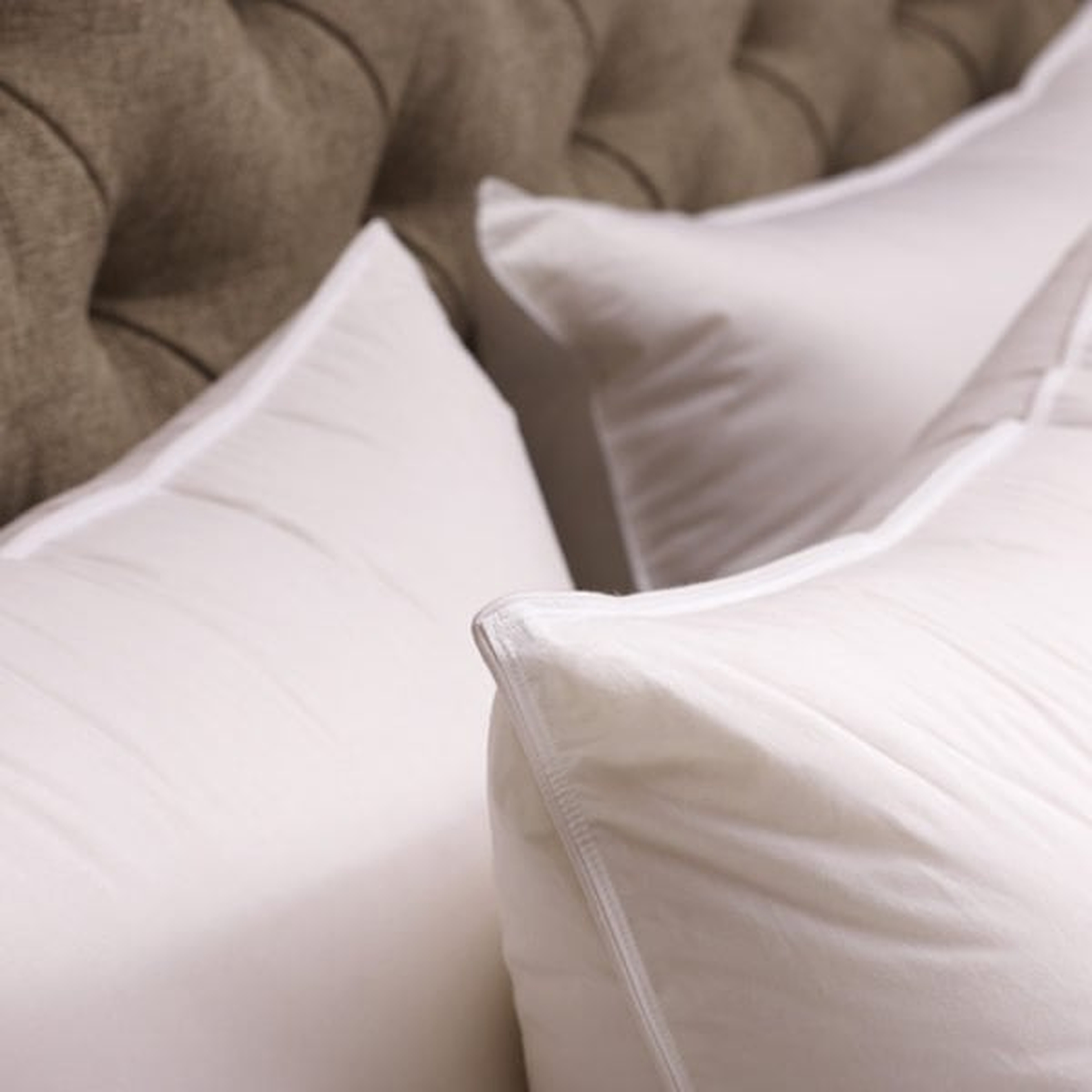 Euro Down Alternative Sleeping Pillow - Havenly Recommended Basic - Noble Feather Co.