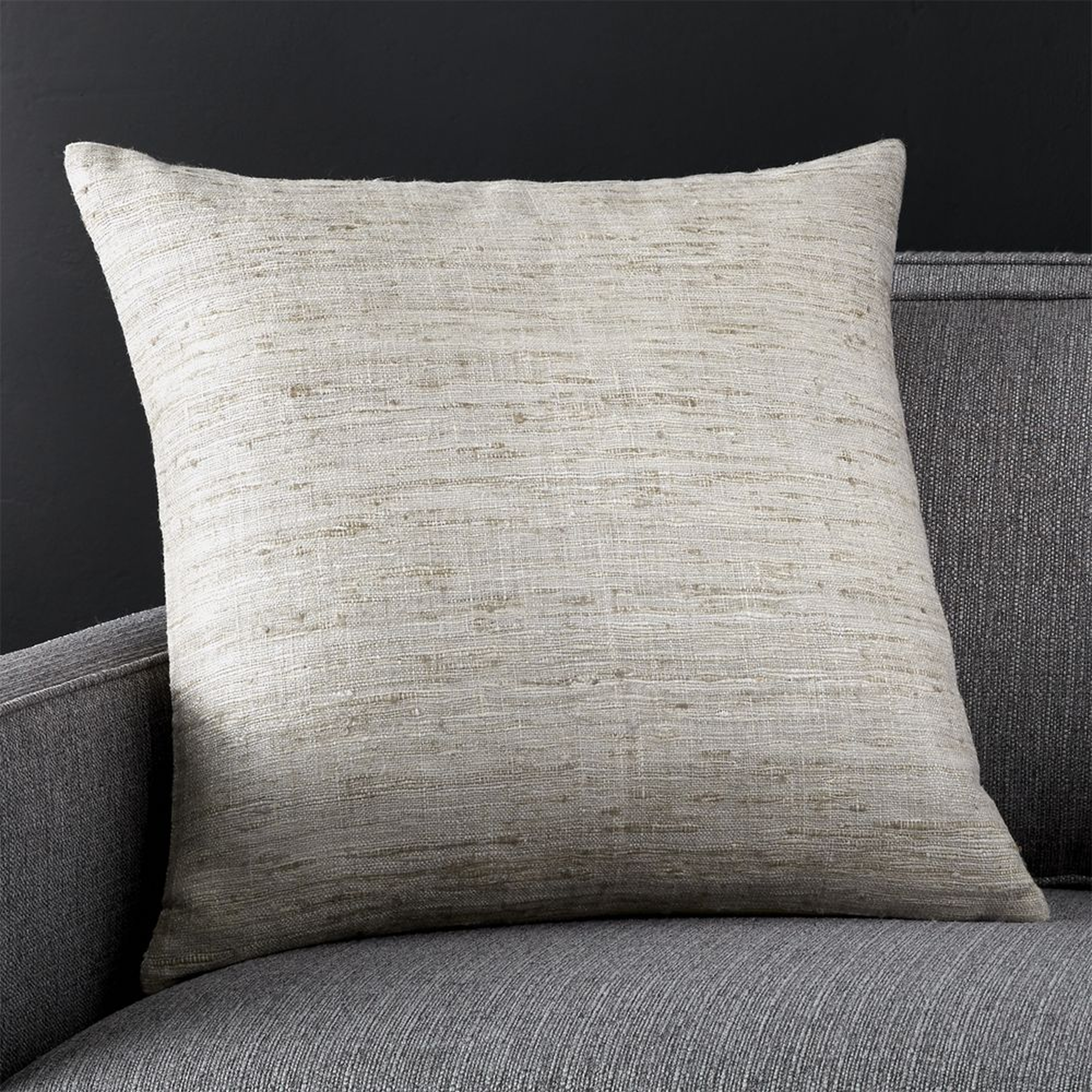 Trevino Alloy 20" Pillow with Feather-Down Insert - Crate and Barrel