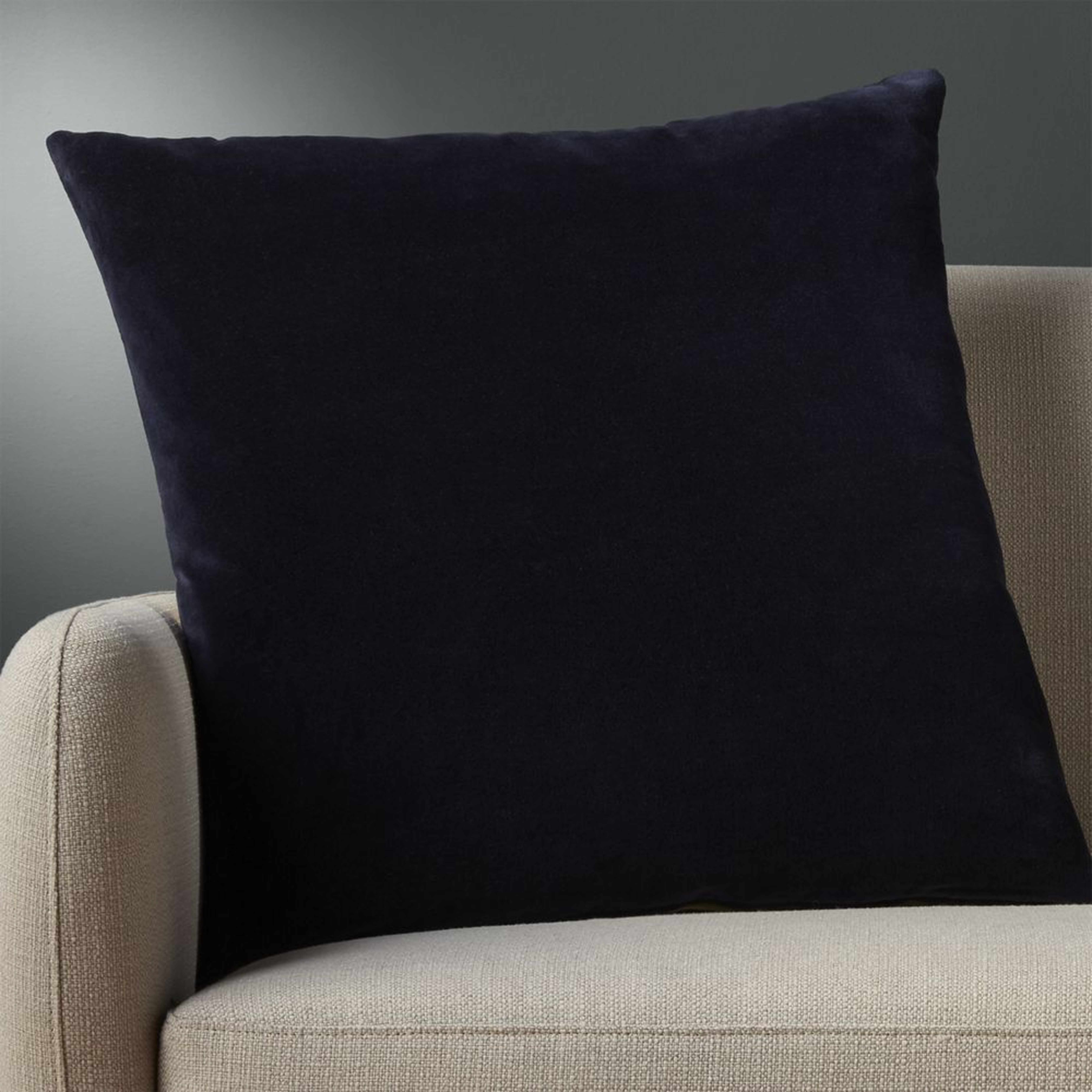 "23"" leisure navy pillow with feather-down insert" - CB2