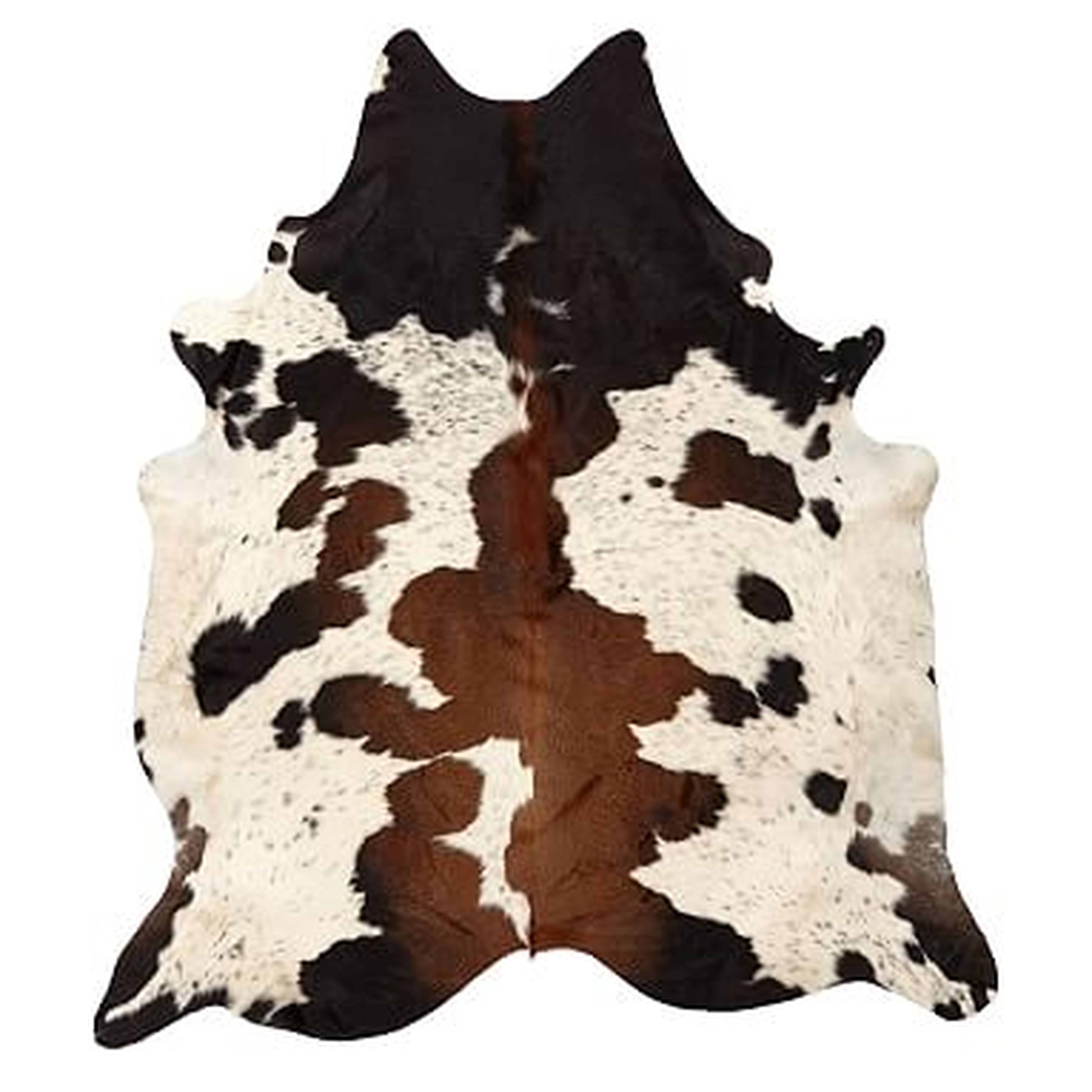 Black and Brown Spotted Cowhide Rug - Pottery Barn Teen
